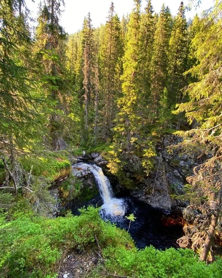 Sonfjällsgårdens Wärdshus & Hotell