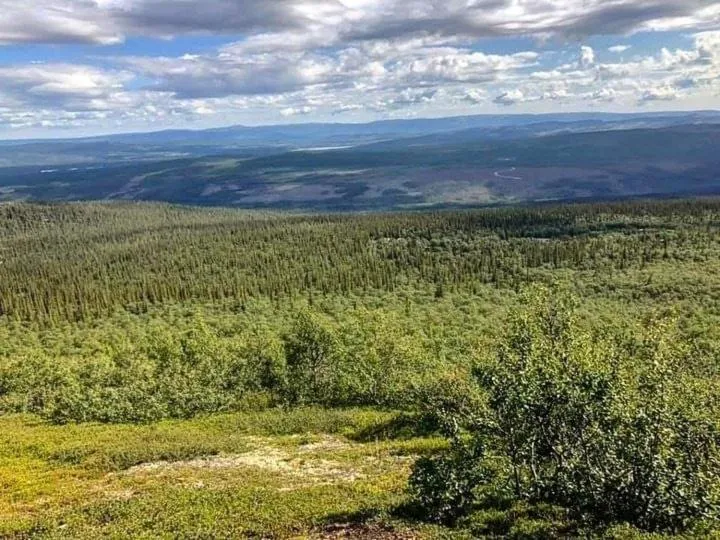 Sonfjällsgårdens Wärdshus & Hotell