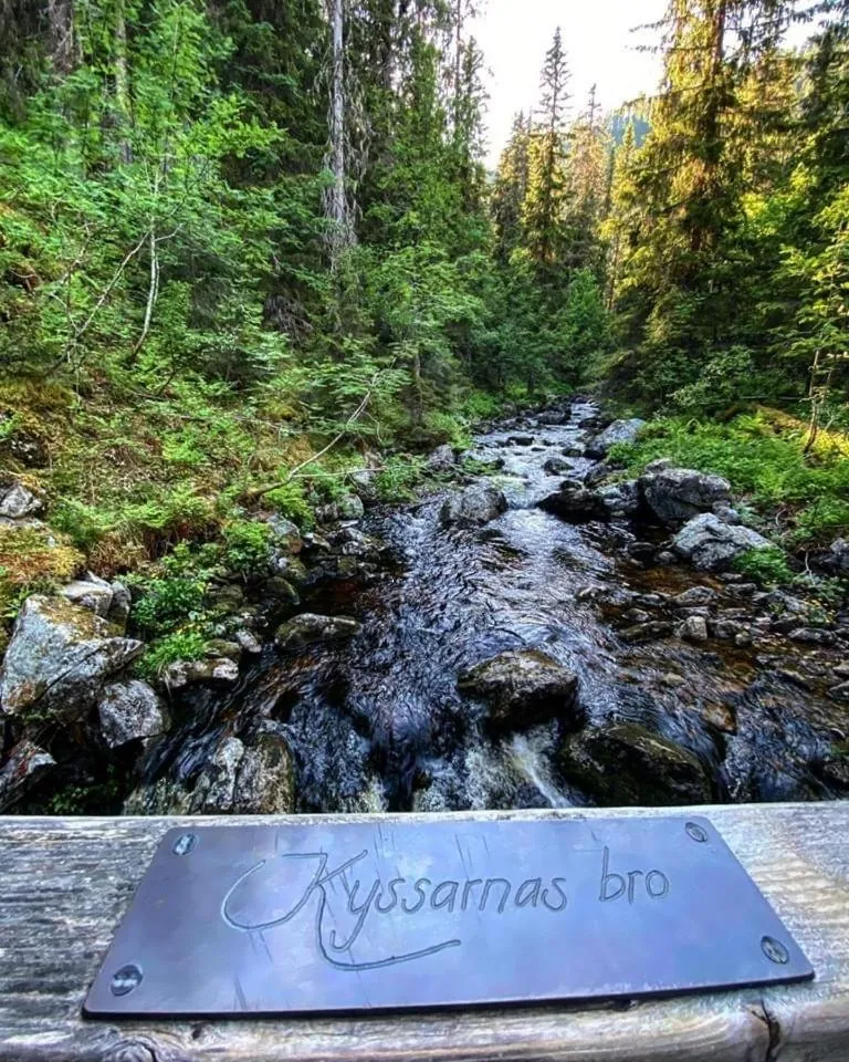 Sonfjällsgårdens Wärdshus & Hotell