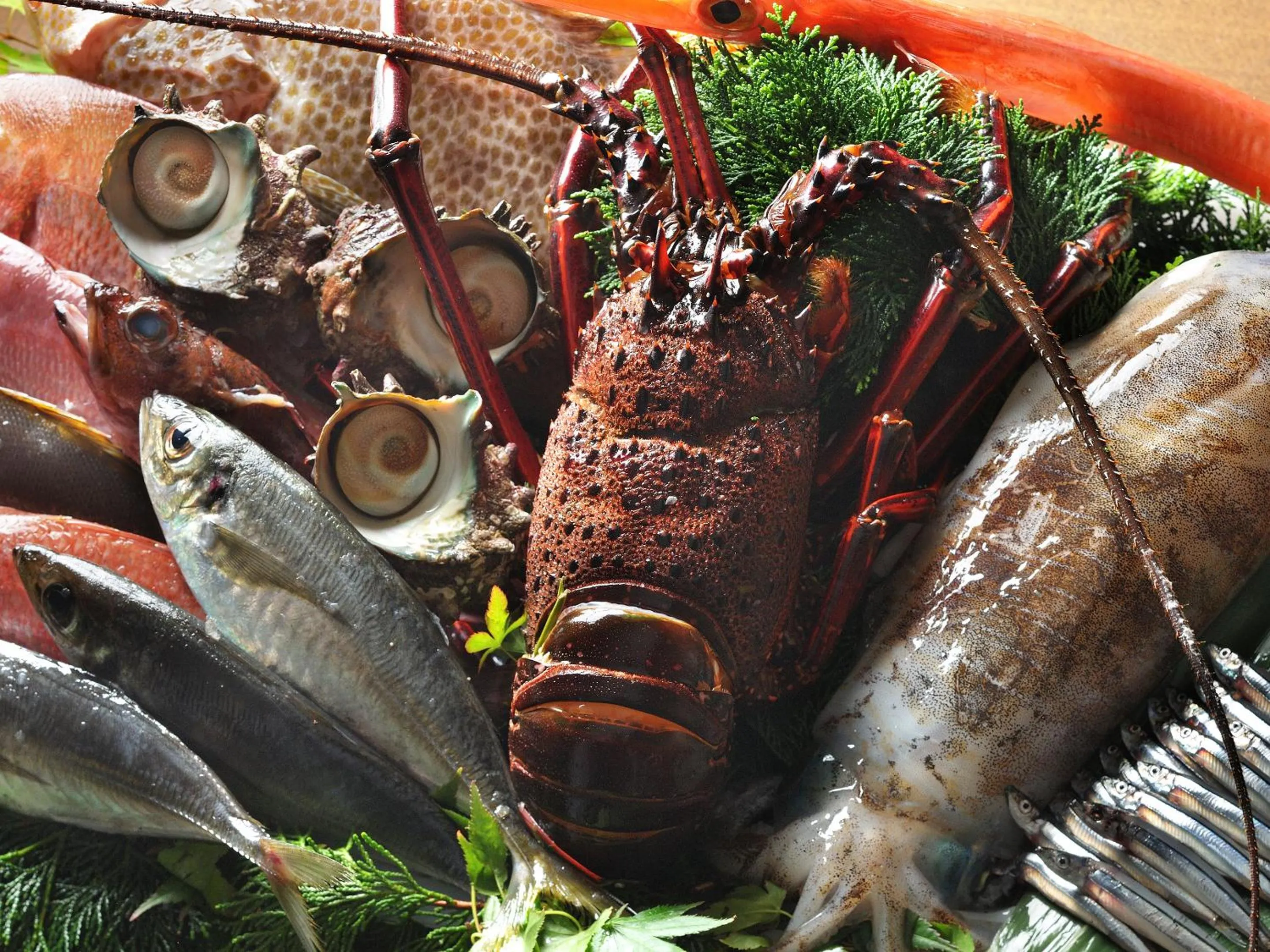 Food in GOTO RETREAT by Onko Chishin