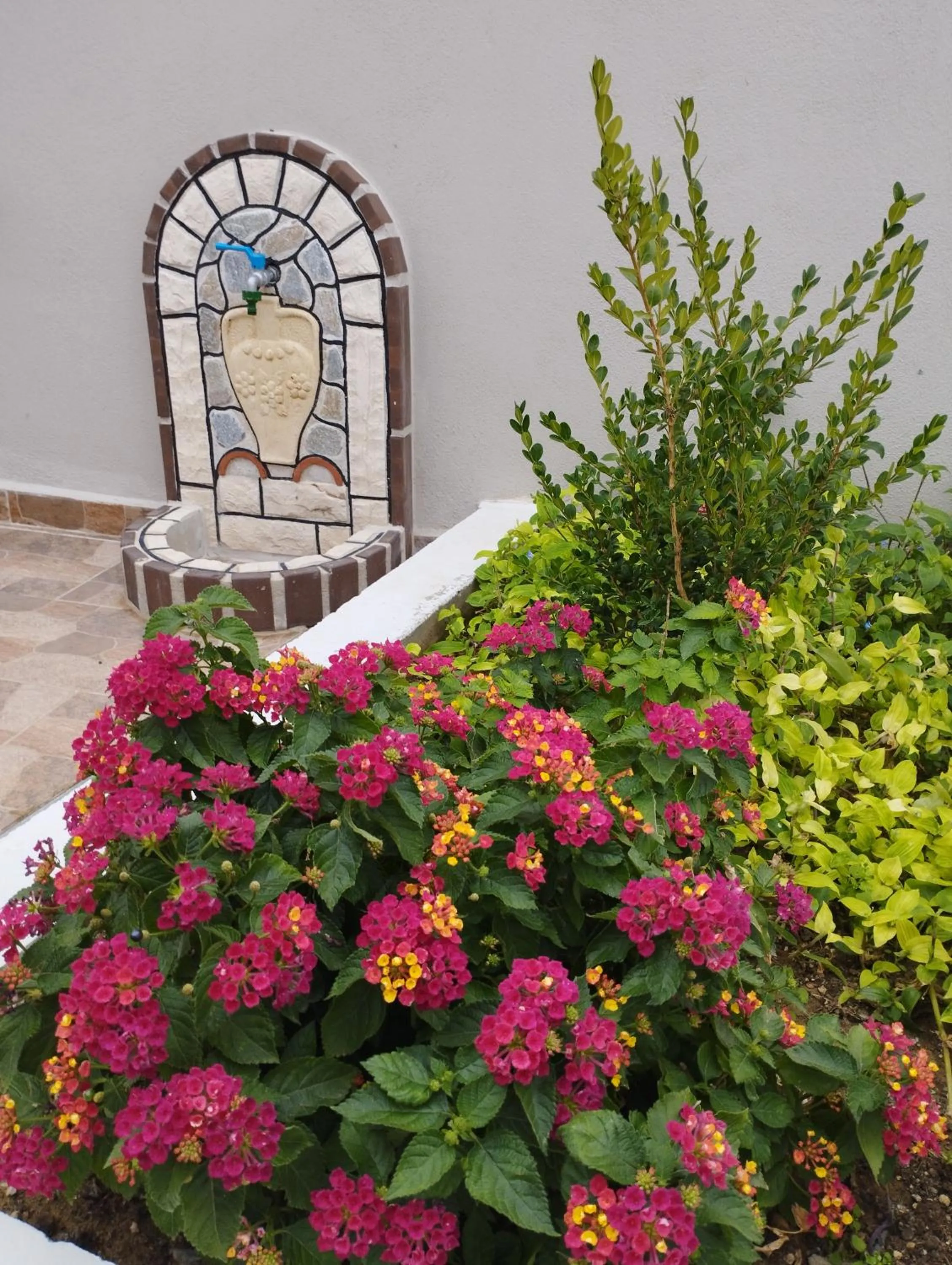 Garden in Romilia Guesthouse