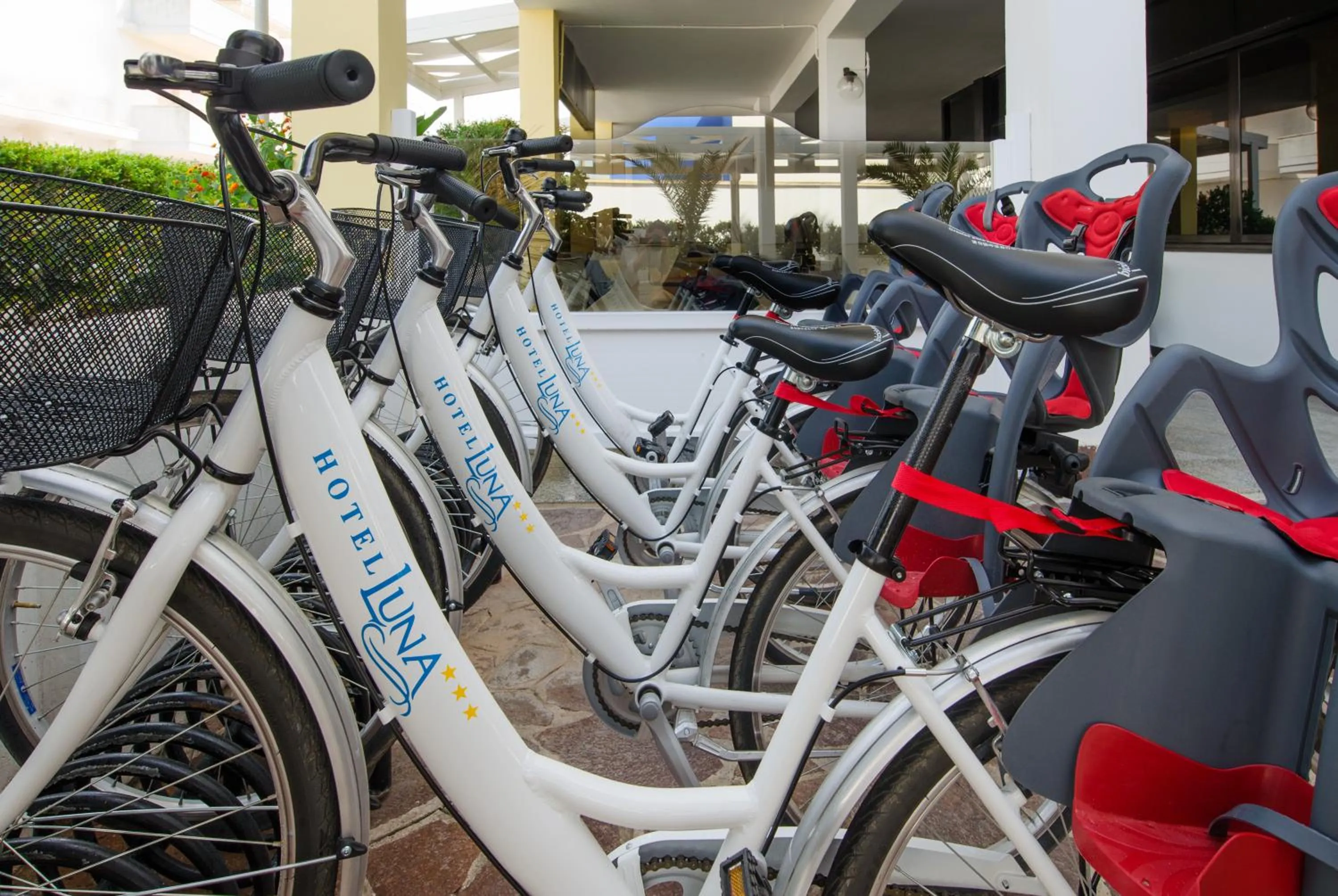 Area and facilities in Hotel Luna Lido