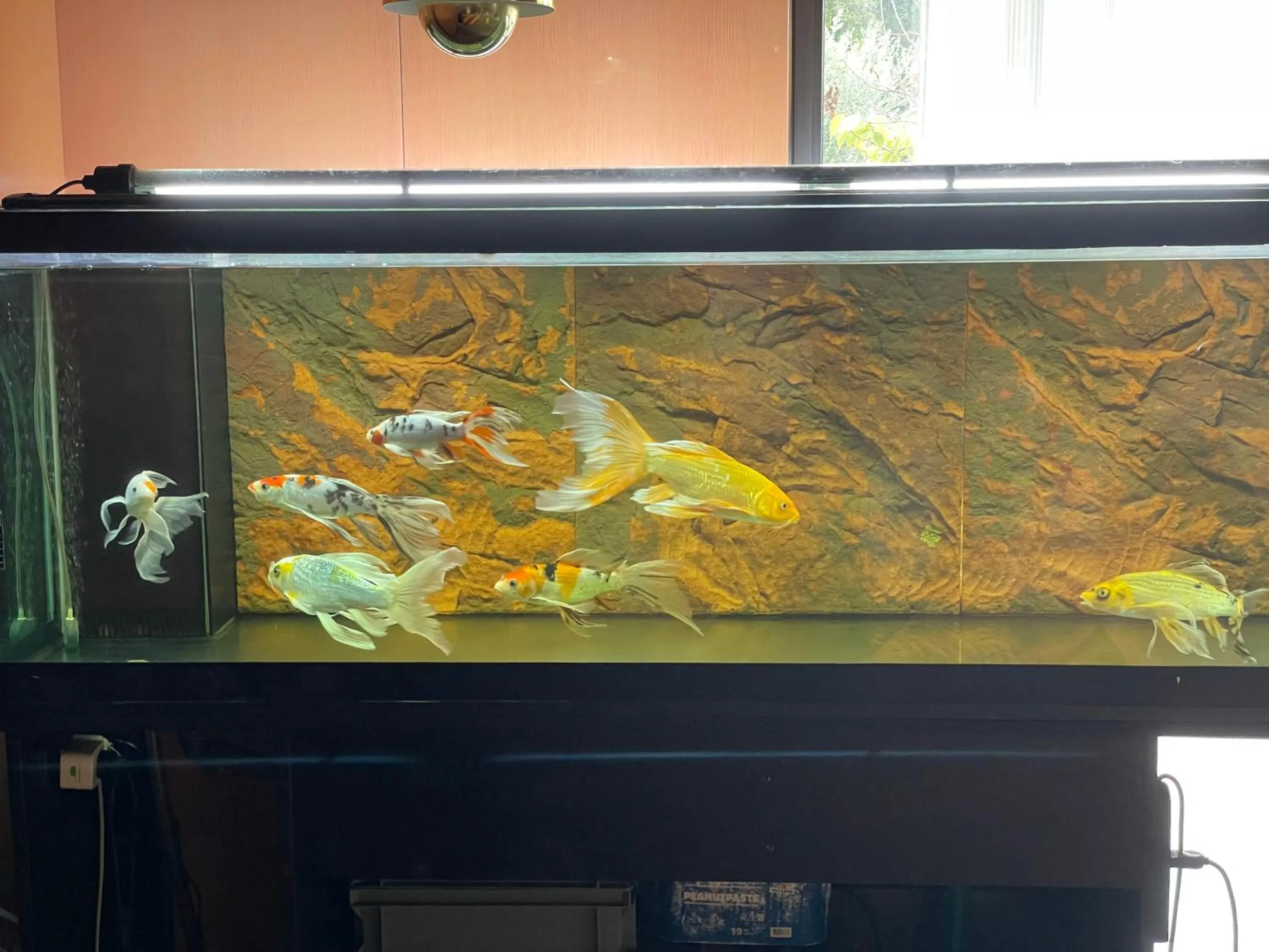 Lobby or reception in La Fenice Hotel