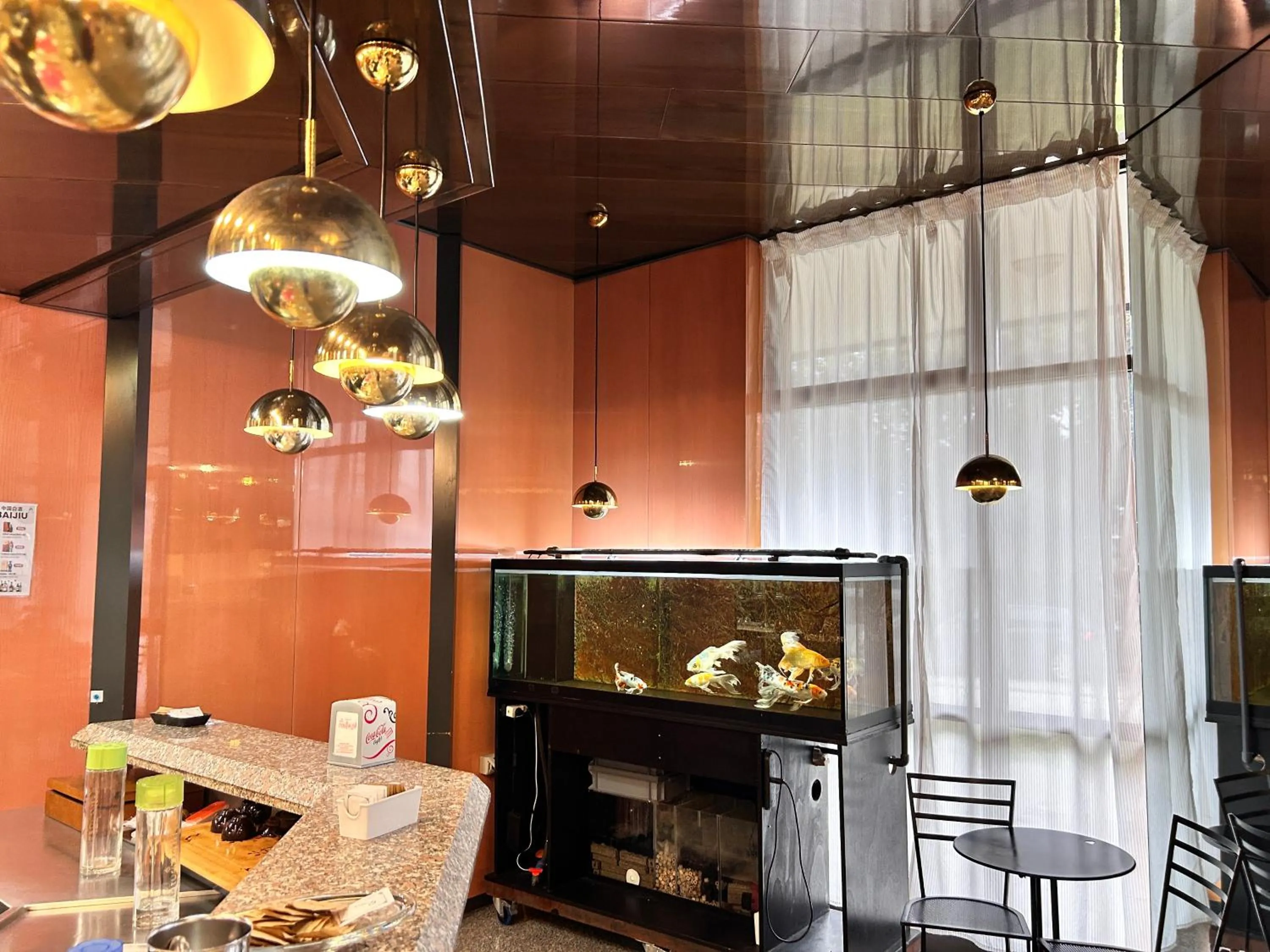 Pets in La Fenice Hotel