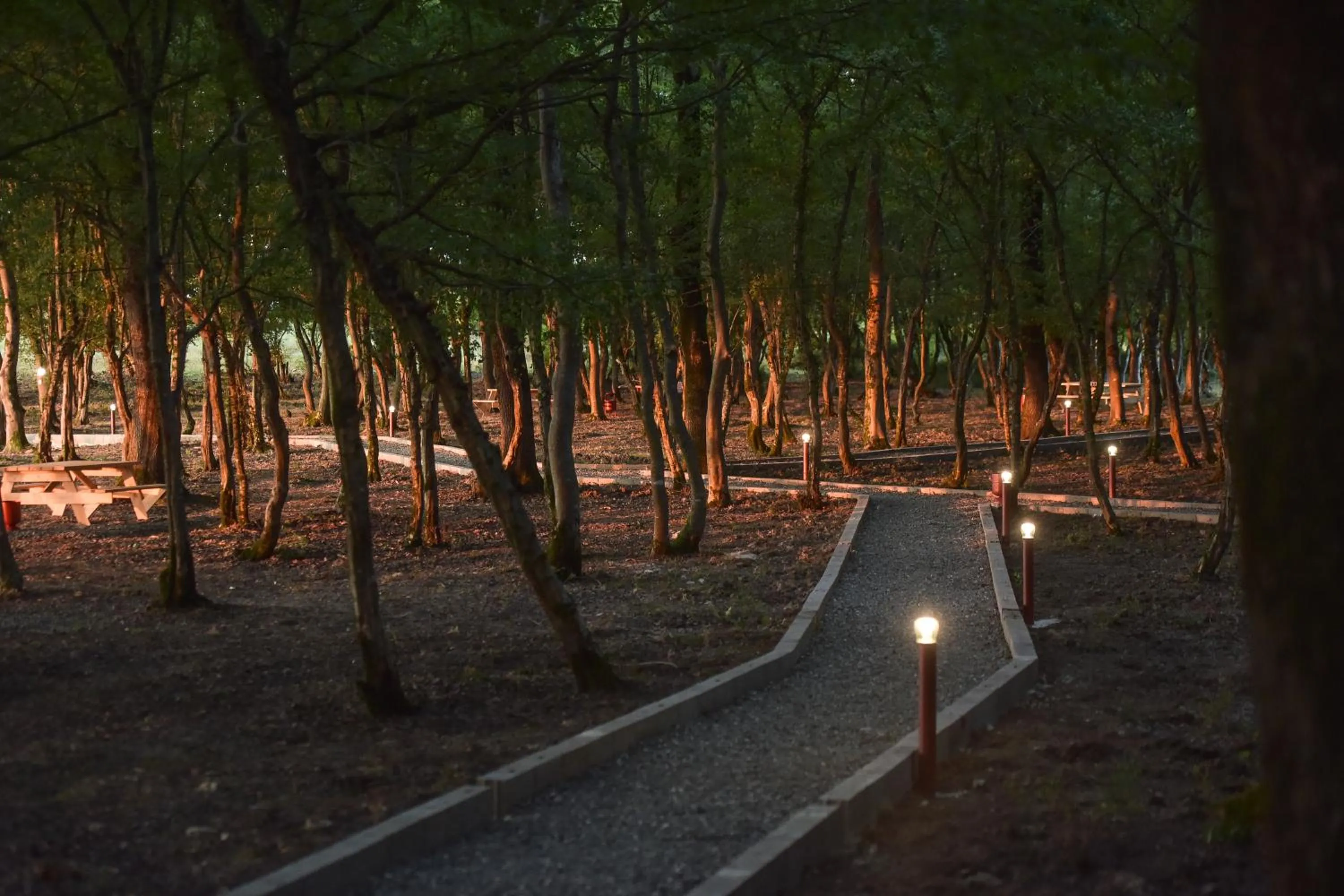 Garden in Chateau Vartsikhe