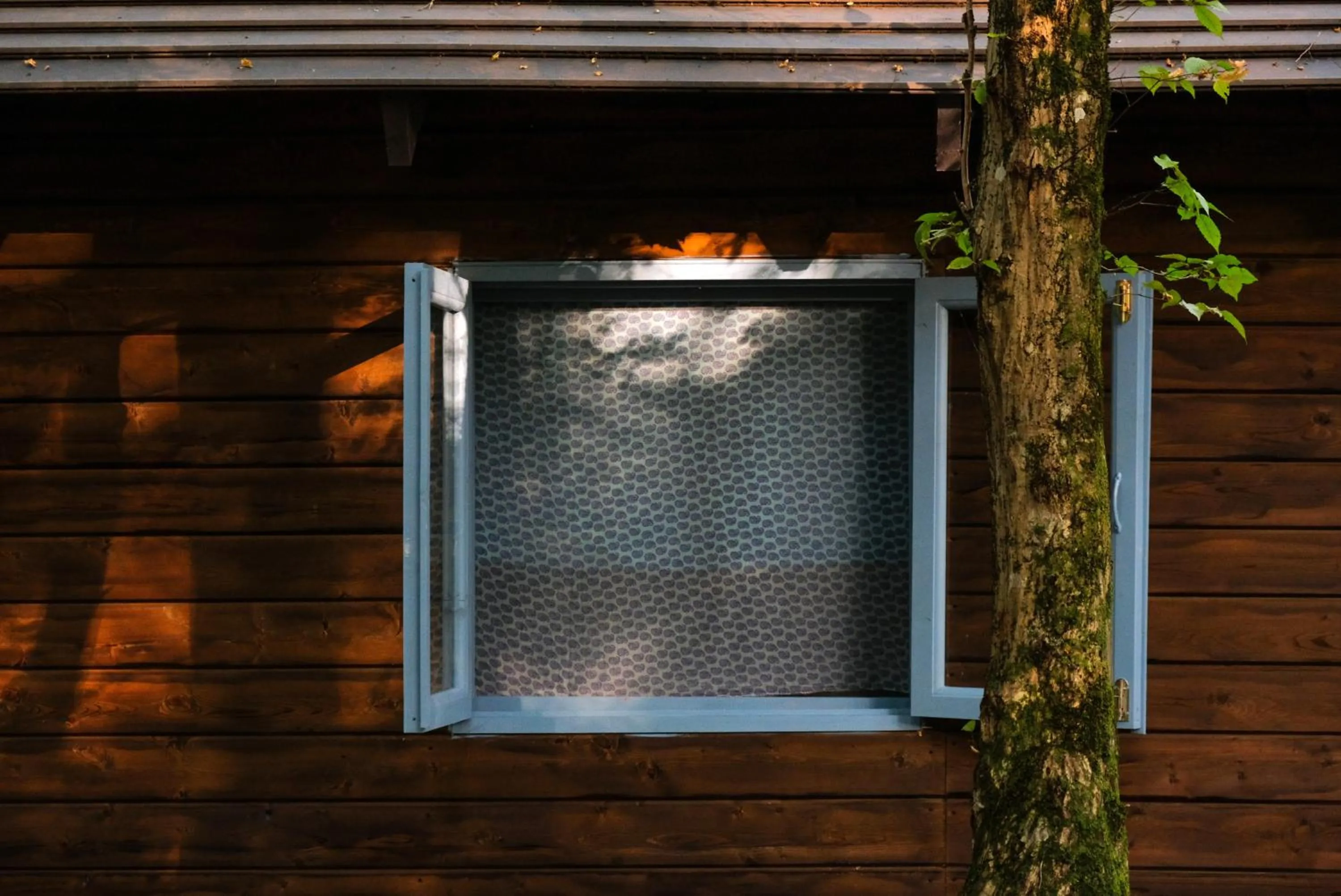 Facade/entrance in Chateau Vartsikhe
