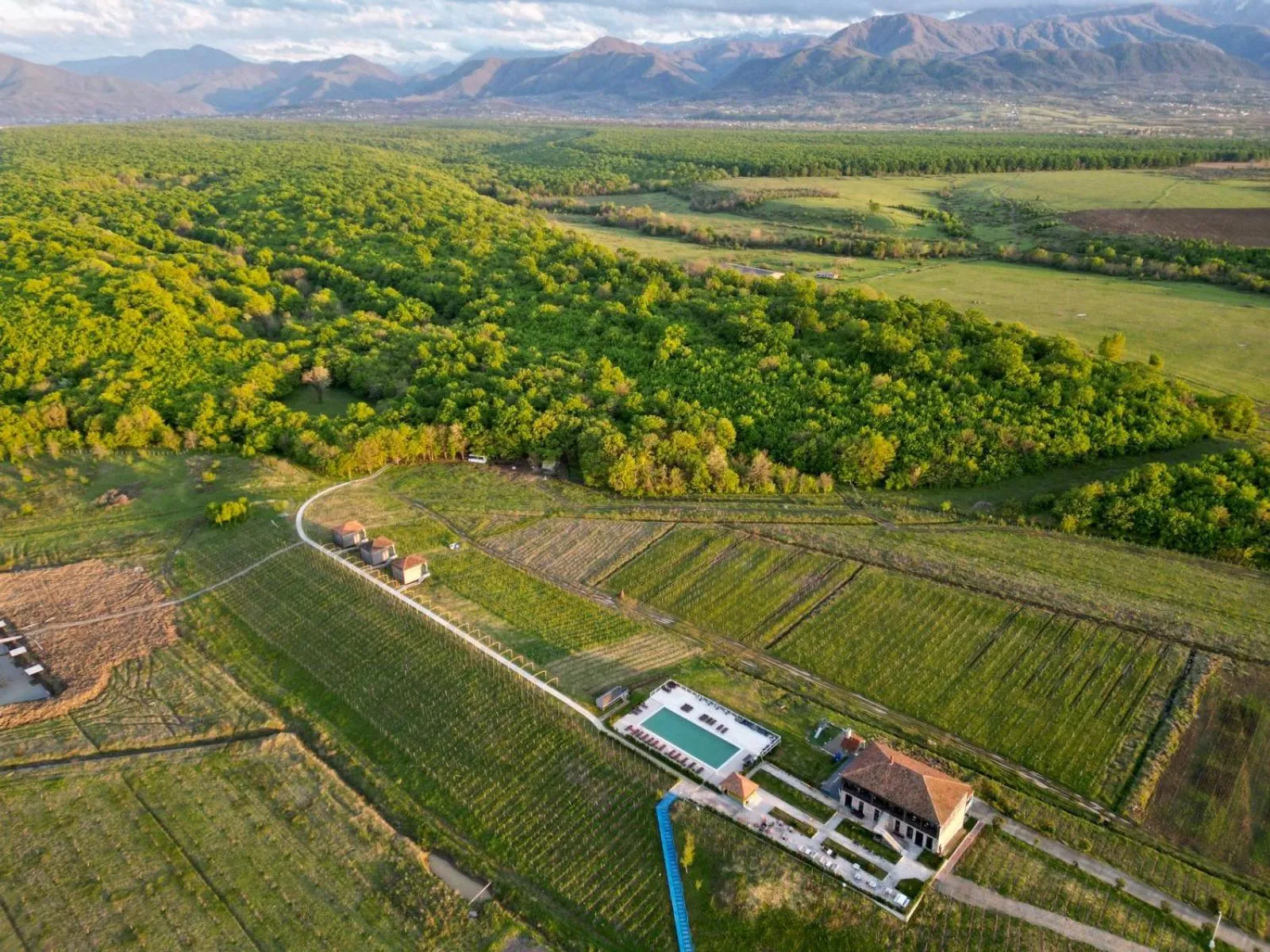 Natural landscape in Chateau Vartsikhe