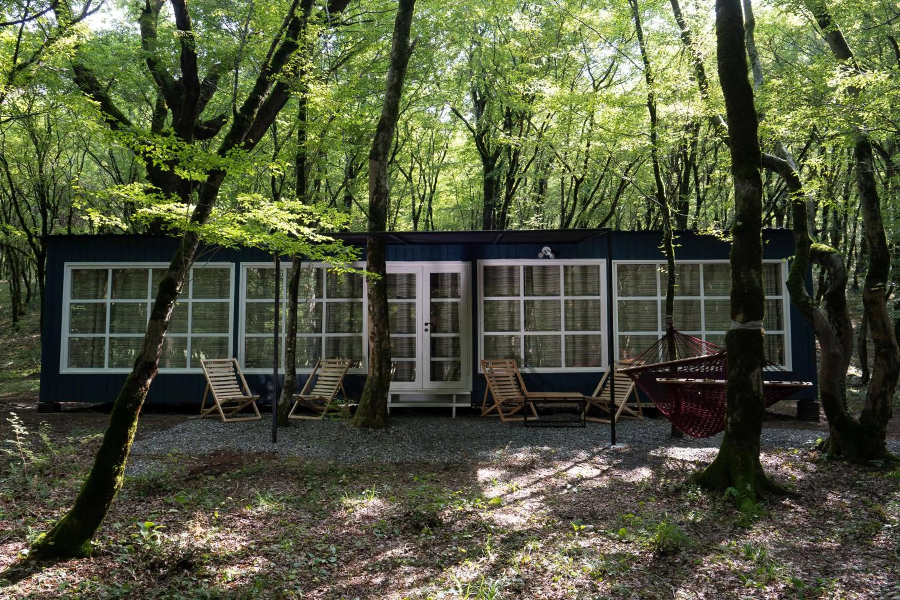 Property building in Chateau Vartsikhe