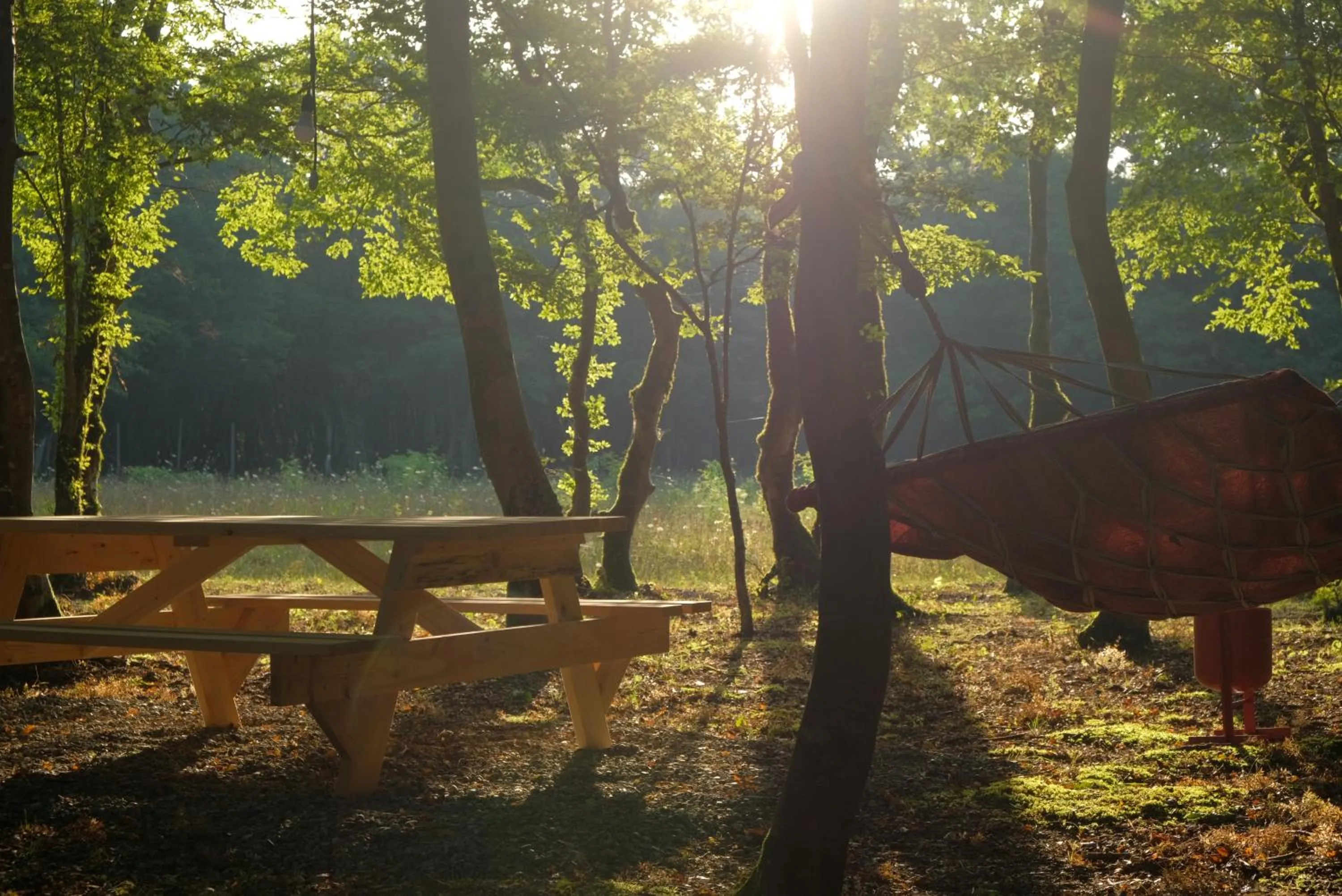 Patio in Chateau Vartsikhe