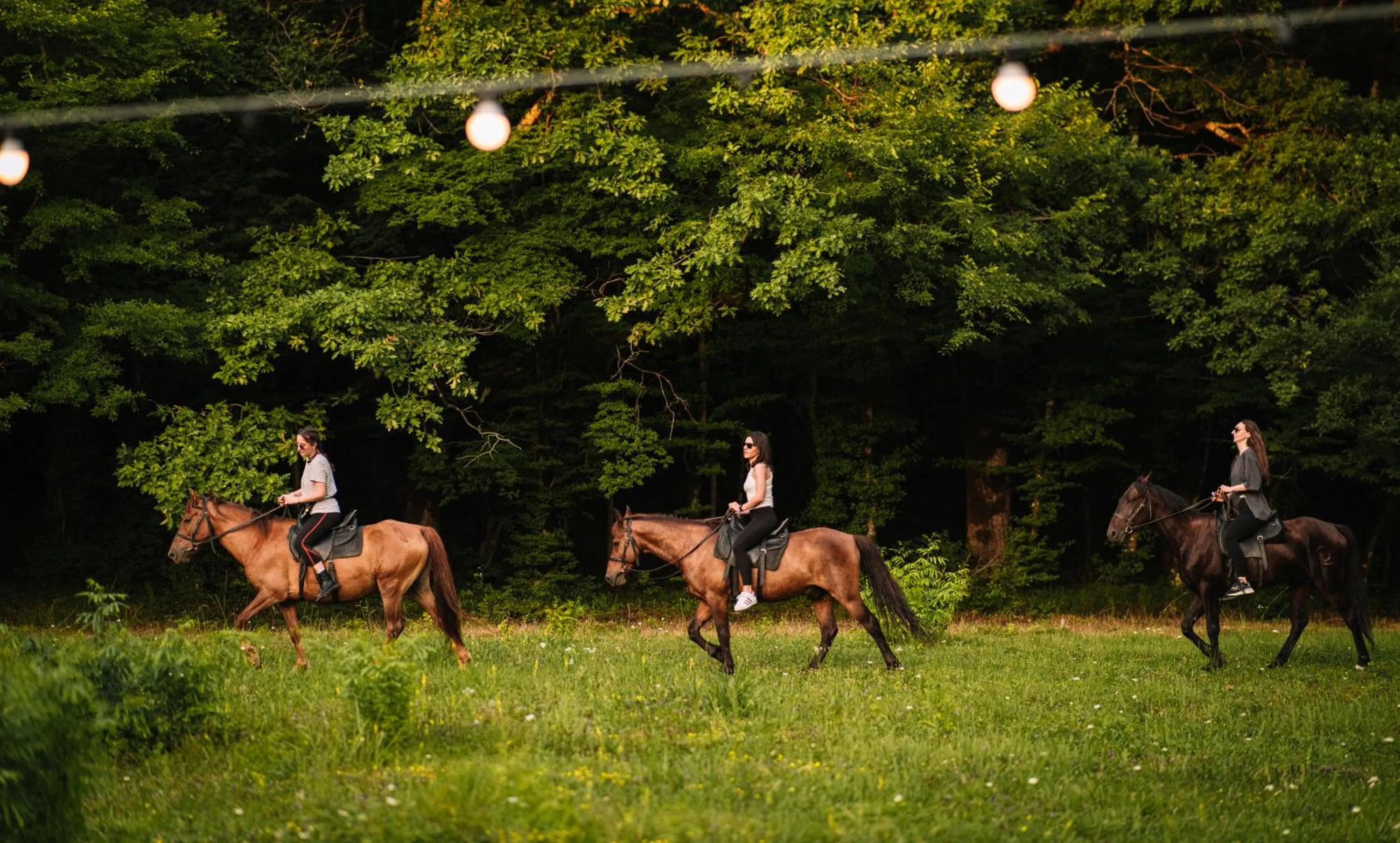 Horse-riding in Chateau Vartsikhe