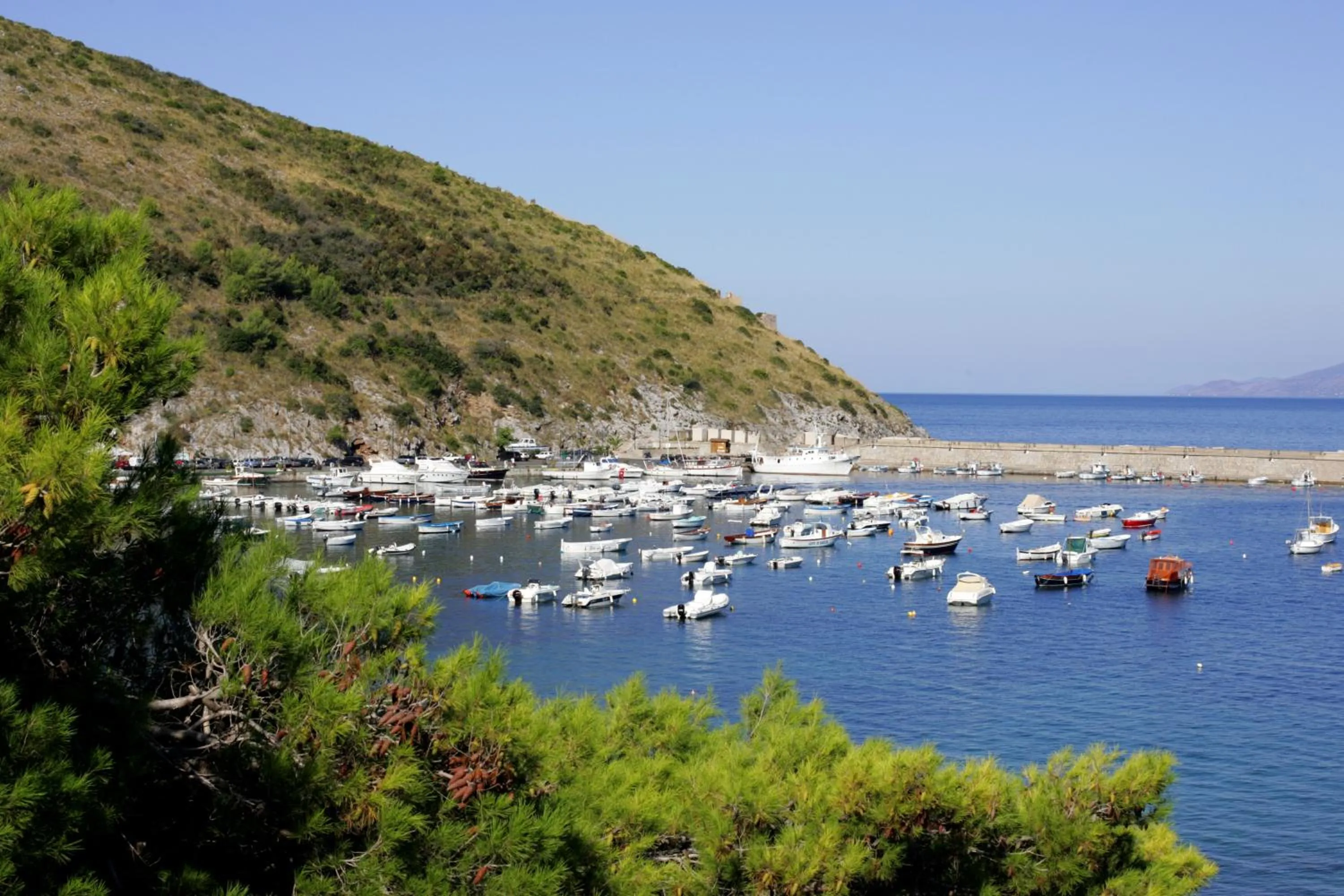 View (from property/room) in Hotel La Torre