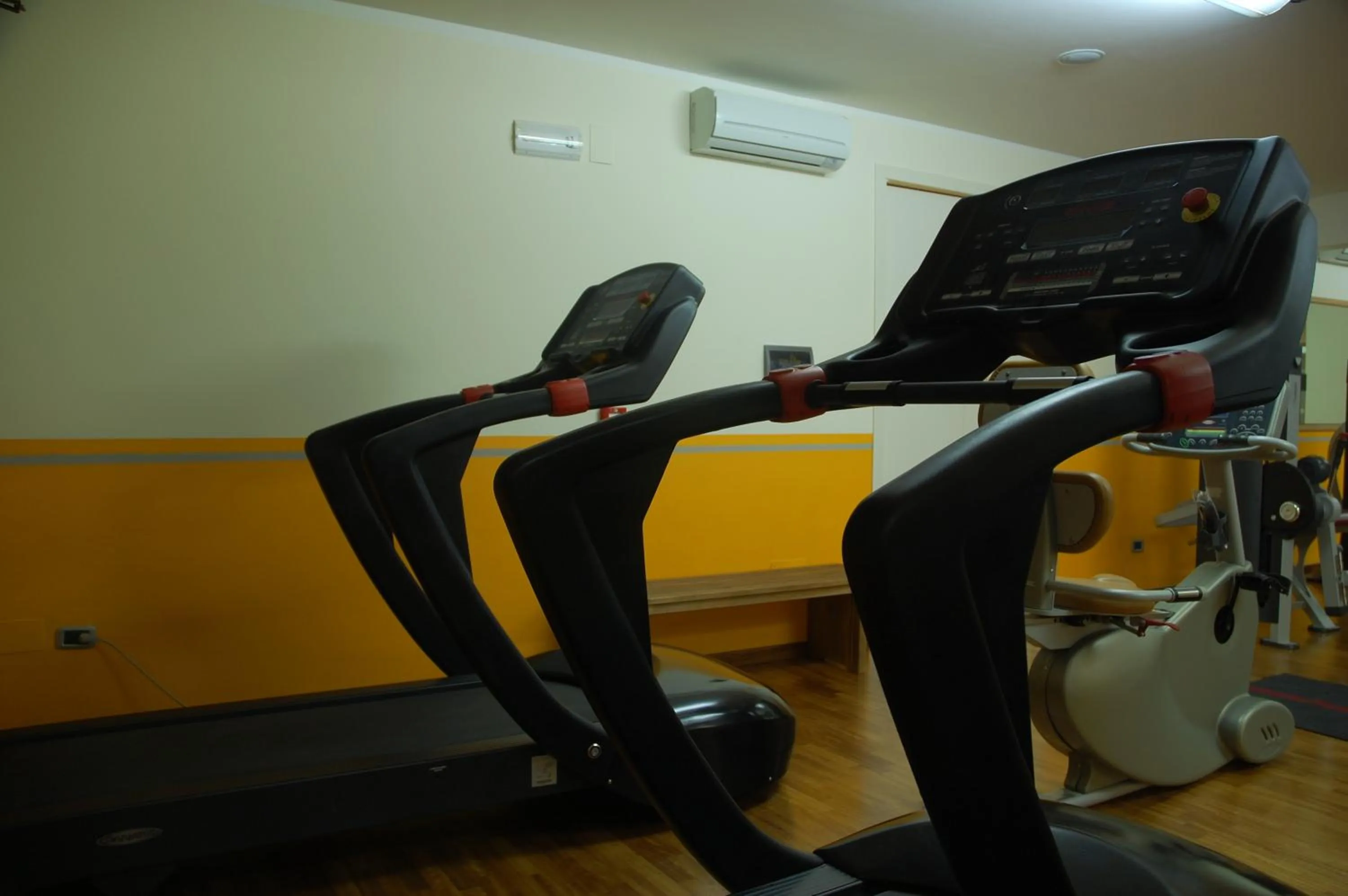 Fitness centre/facilities in Hotel La Torre