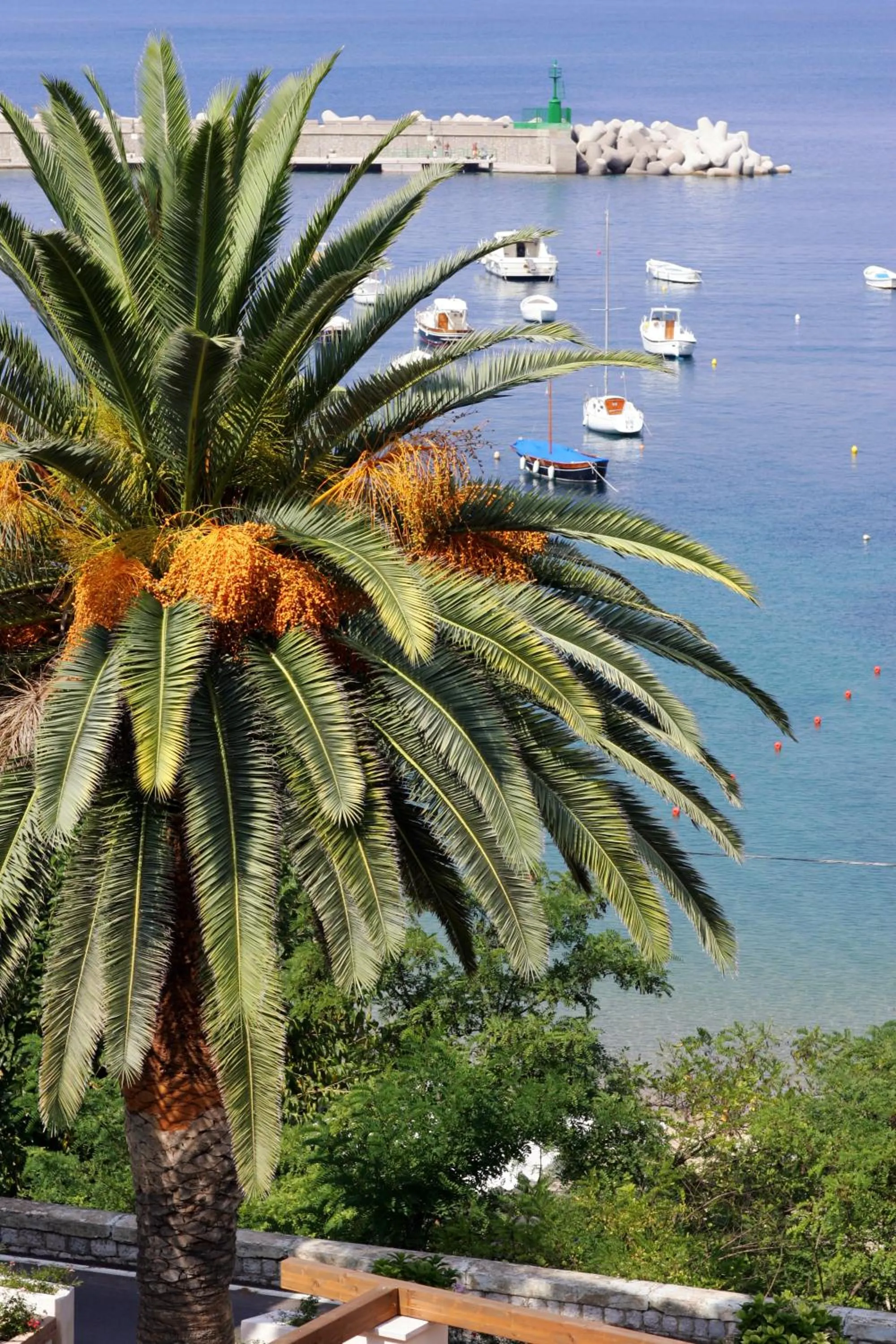 View (from property/room) in Hotel La Torre