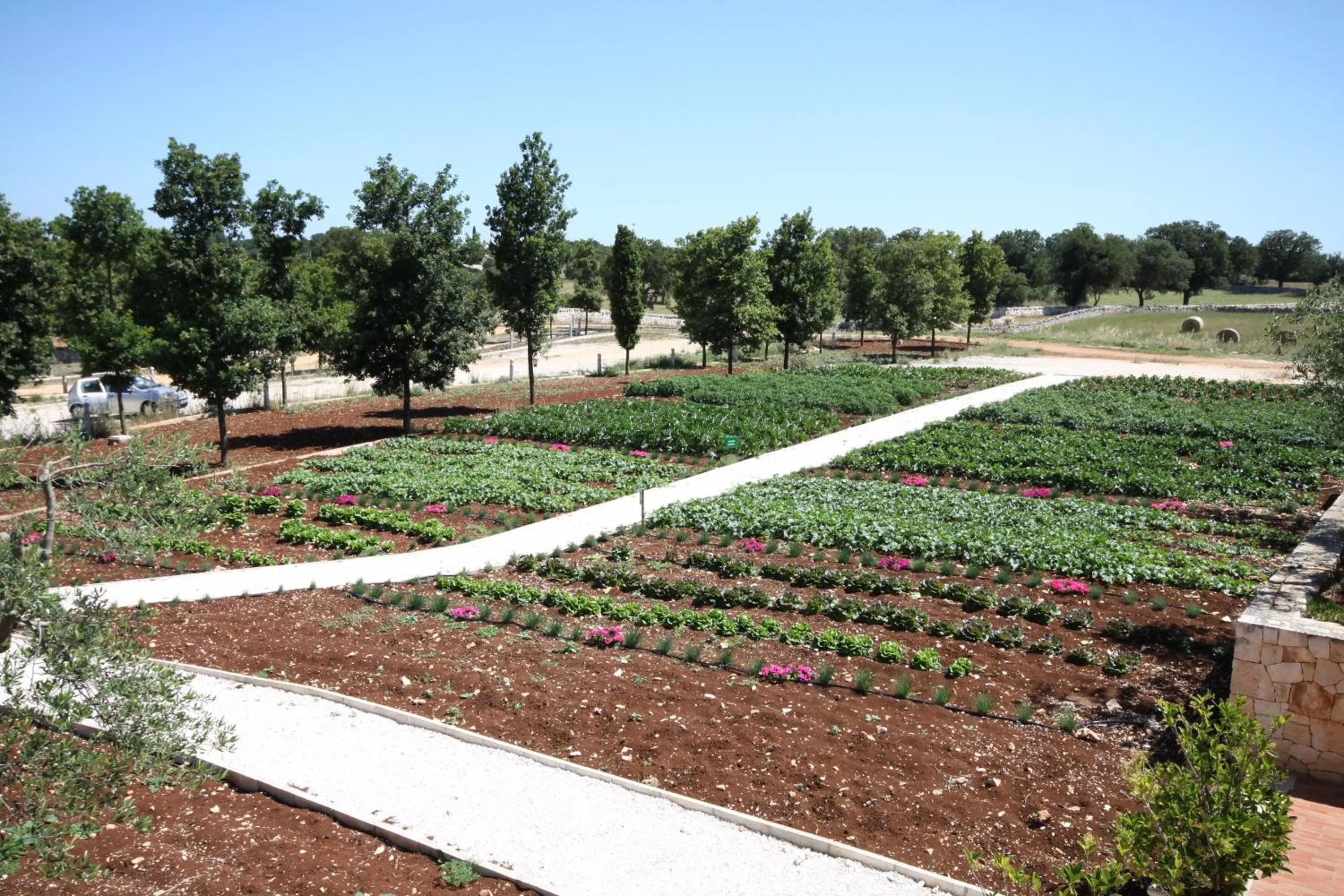 Area and facilities in Apulia Victor Country Hotel