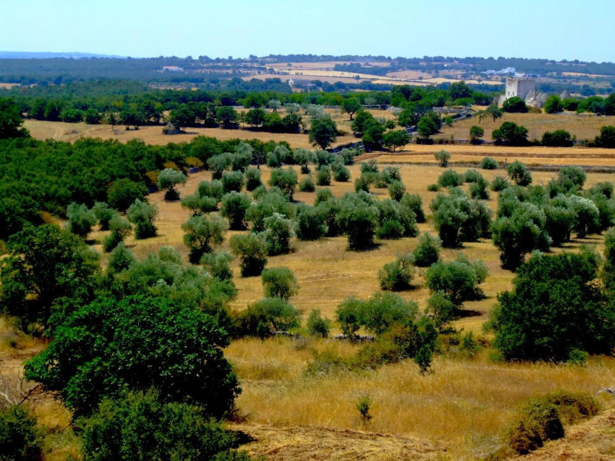 View (from property/room) in Apulia Victor Country Hotel