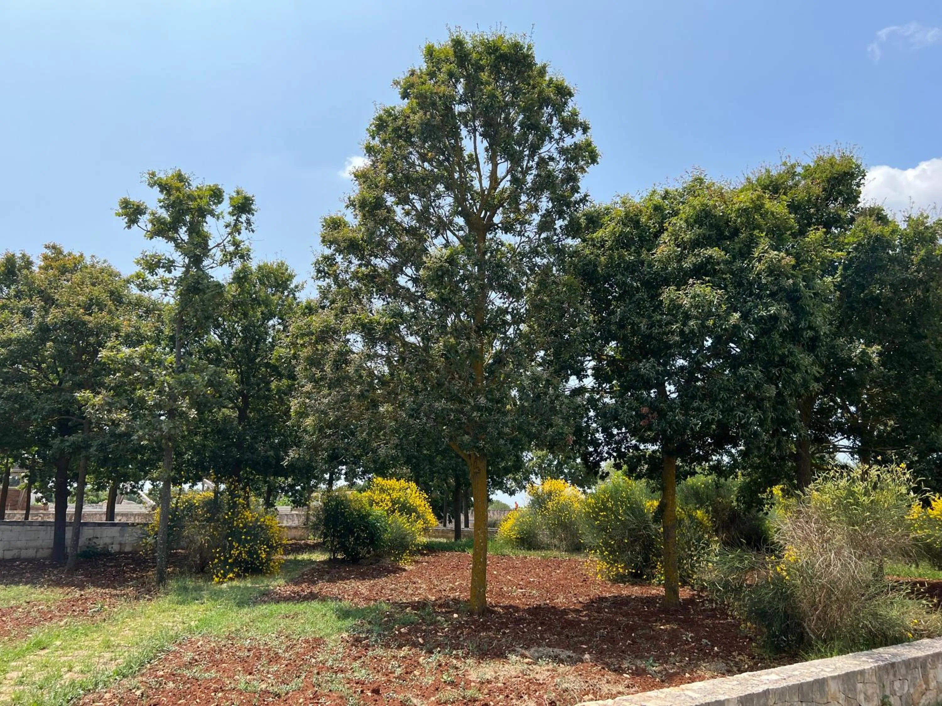 Apulia Victor Country Hotel