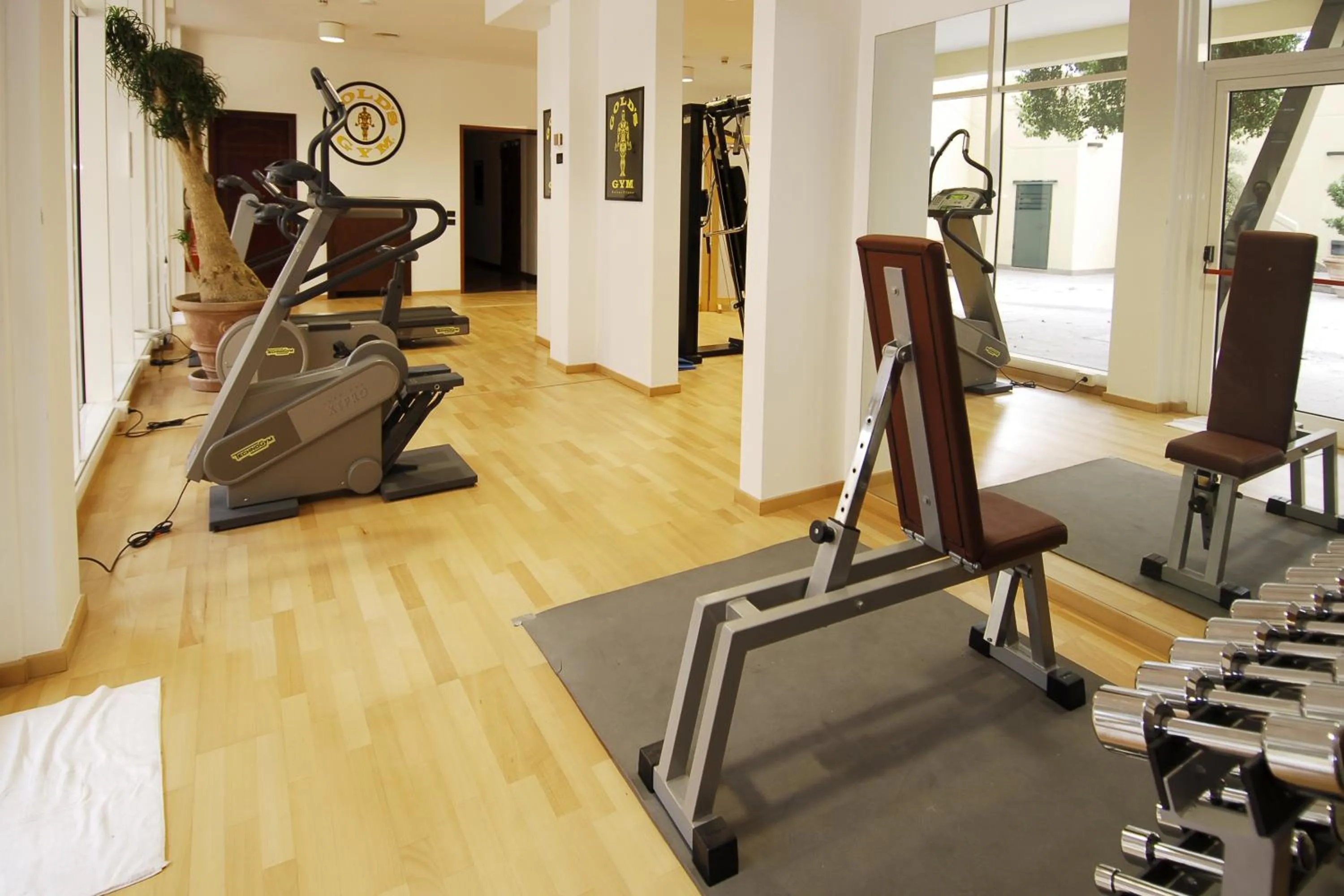 Fitness centre/facilities in Park Hotel Ripaverde
