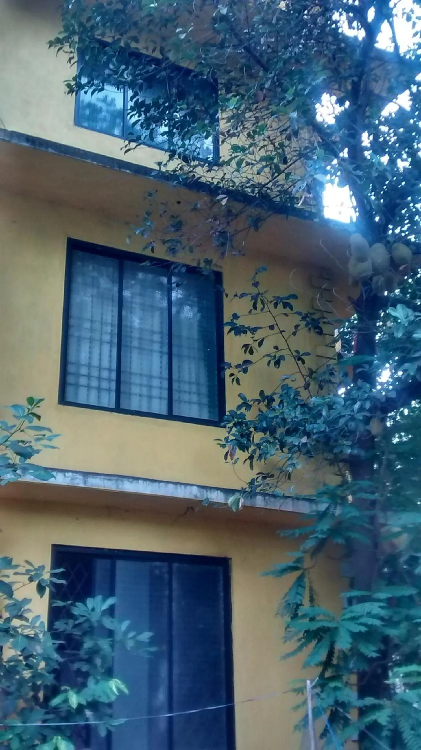 Budget Double Room in Aguiar Guest House