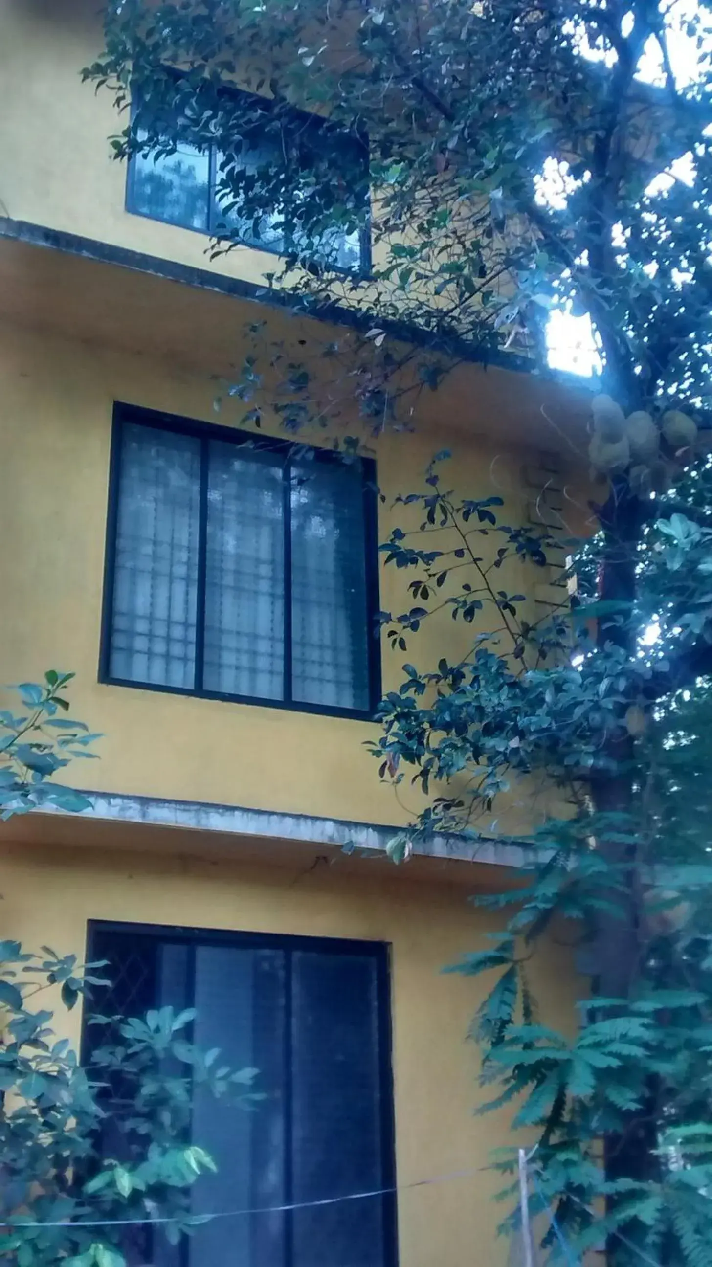 Budget Double Room in Aguiar Guest House Budget Double Room in Aguiar Guest House