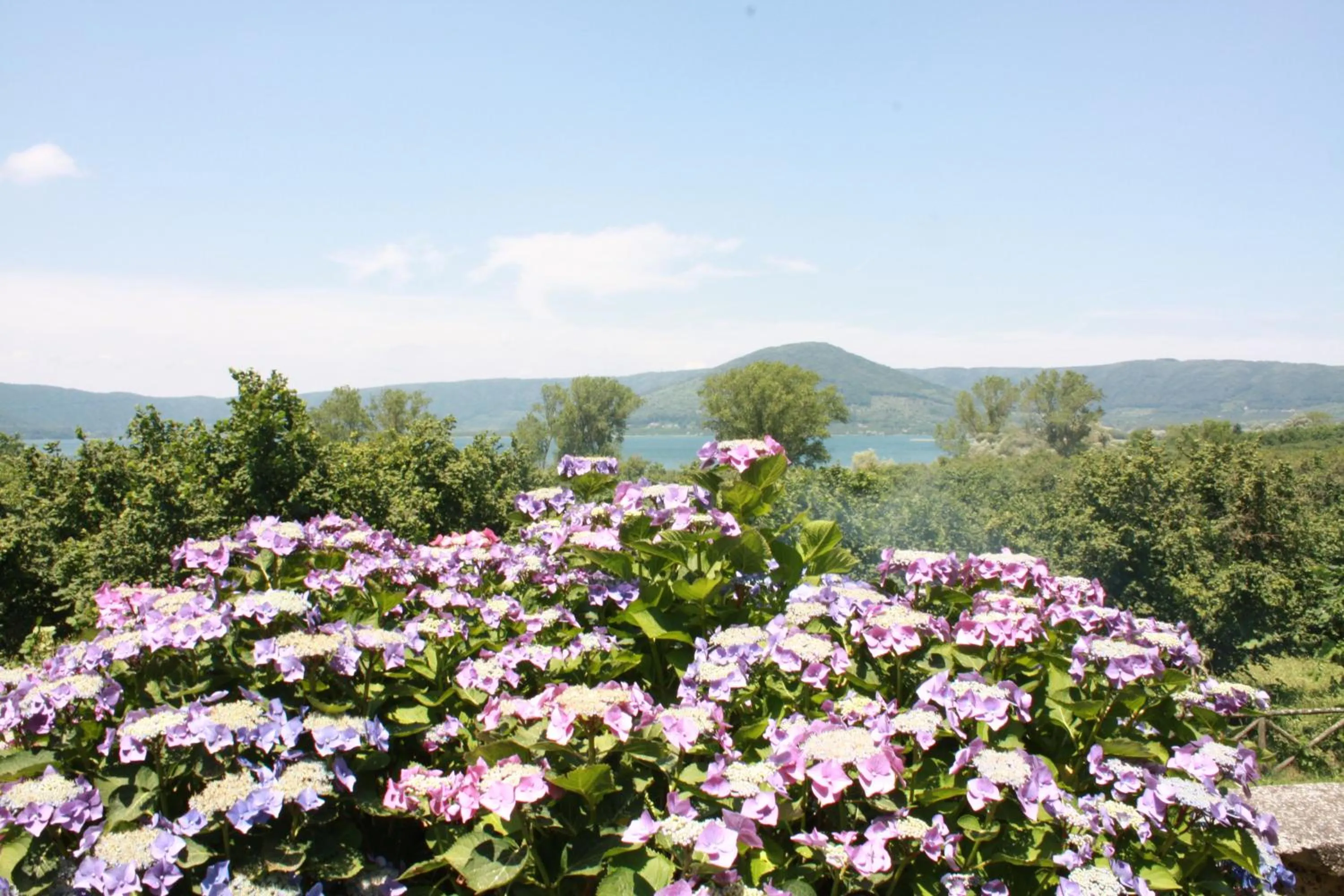 Garden in La Finestra sul Lago
