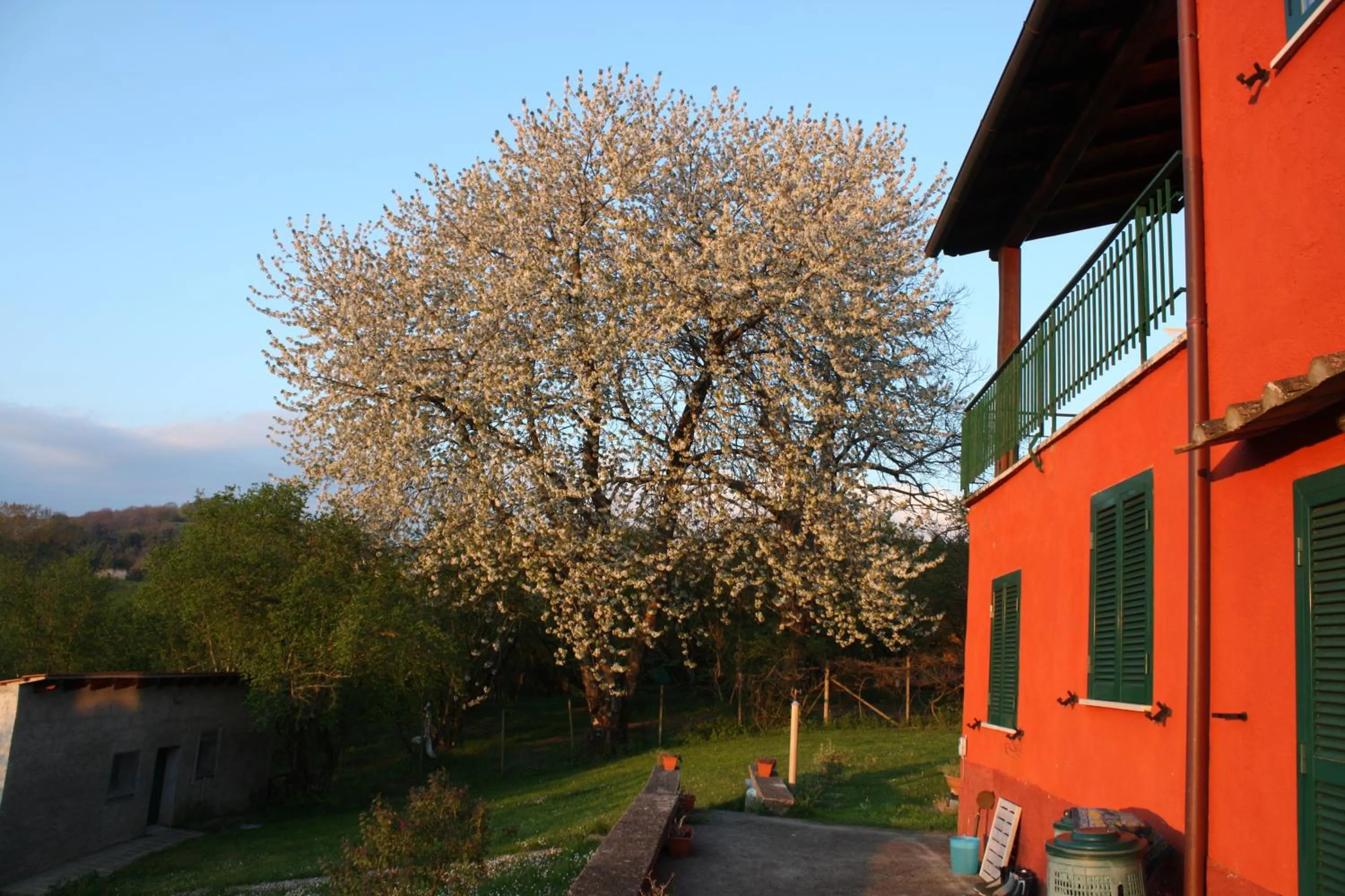Garden in La Finestra sul Lago