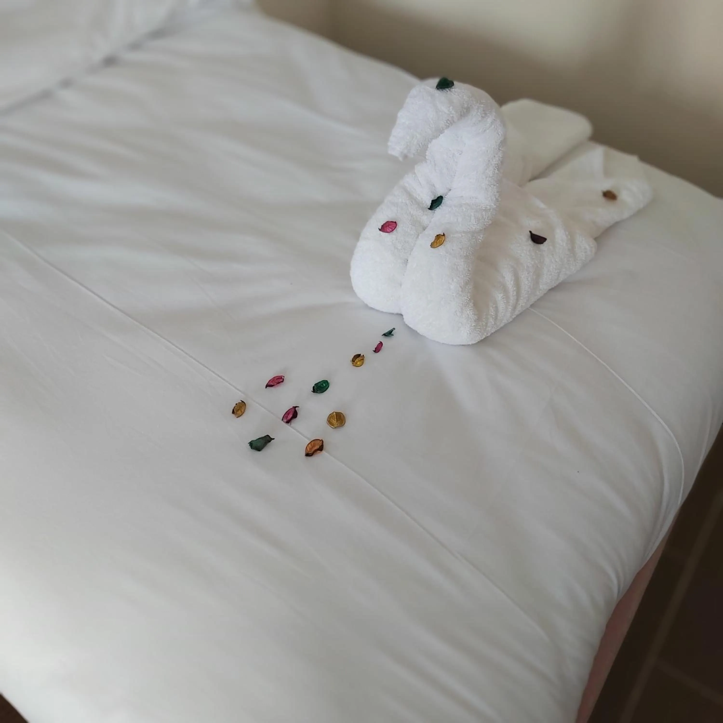 Bed in Golden Pyramids Inn