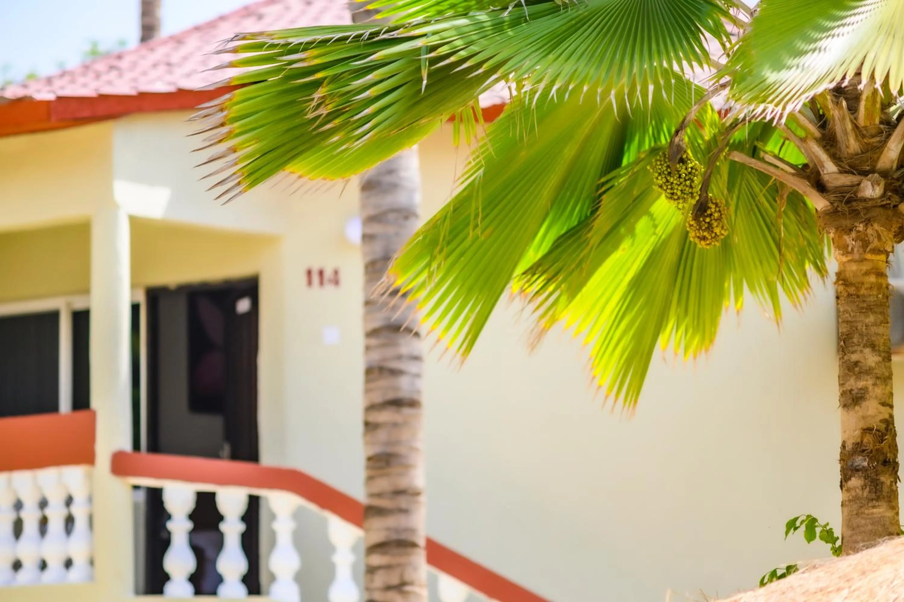 Bird's eye view in Palm Beach Hotel