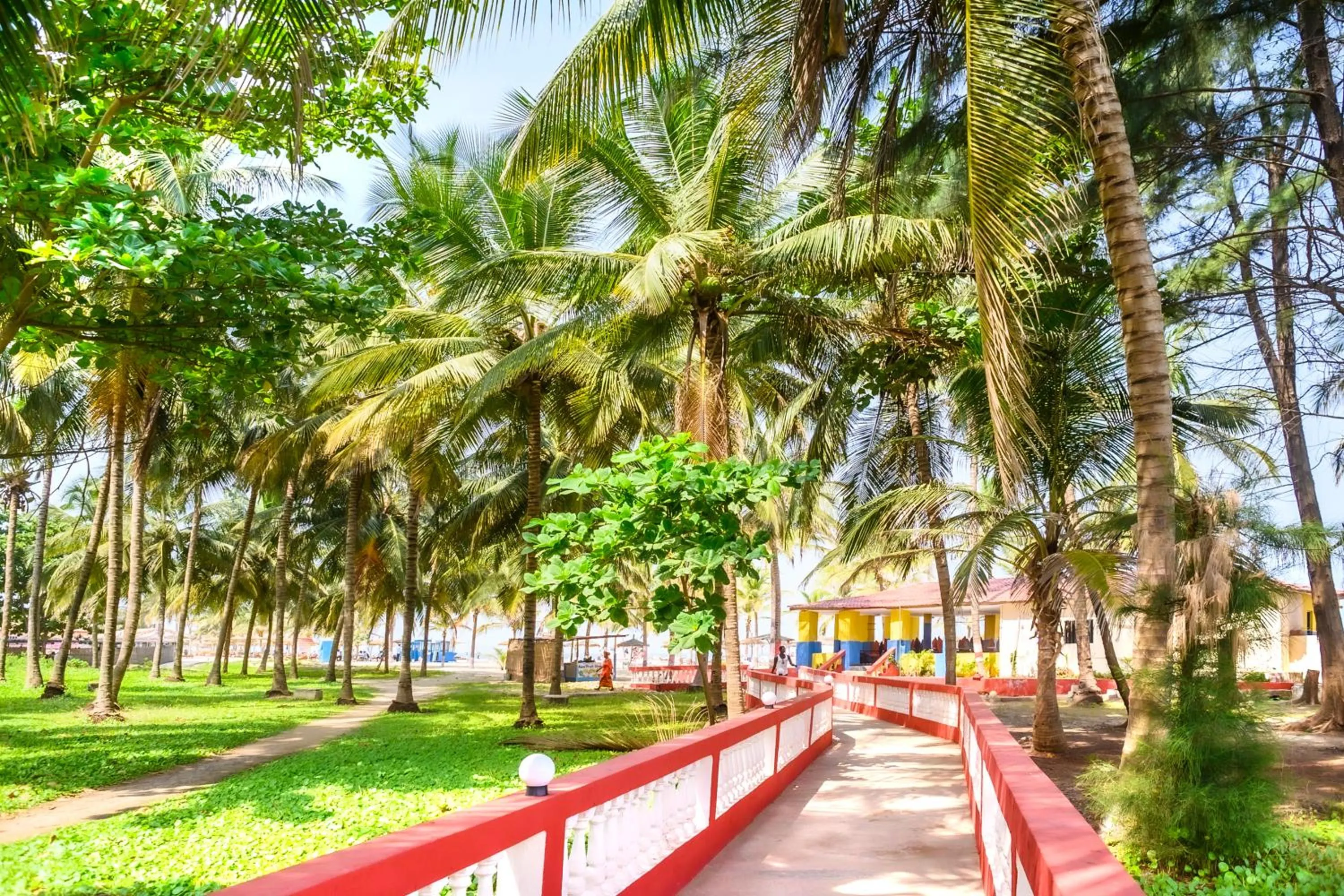 Garden in Palm Beach Hotel
