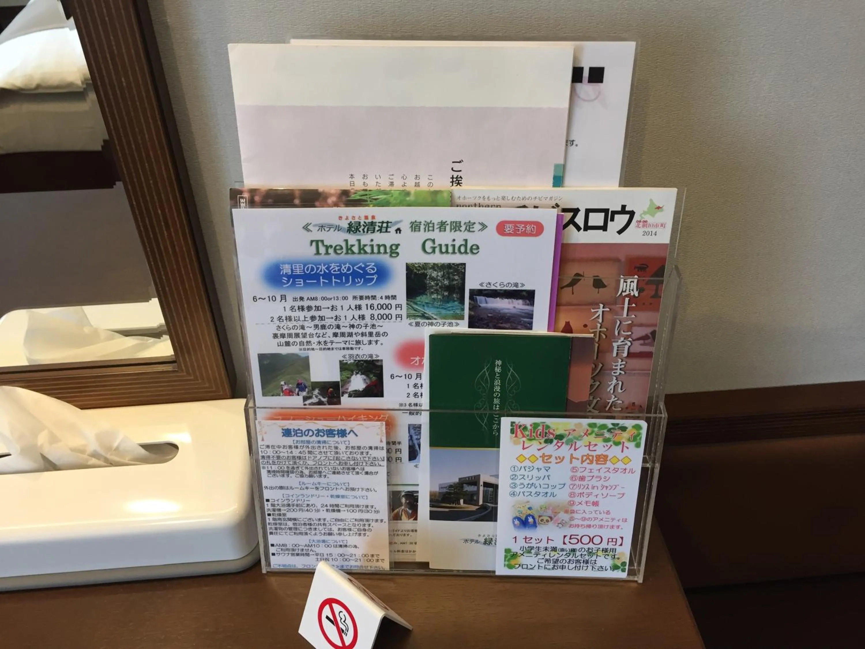 Other in Kiyosato Onsen Hotel Ryokuseisou