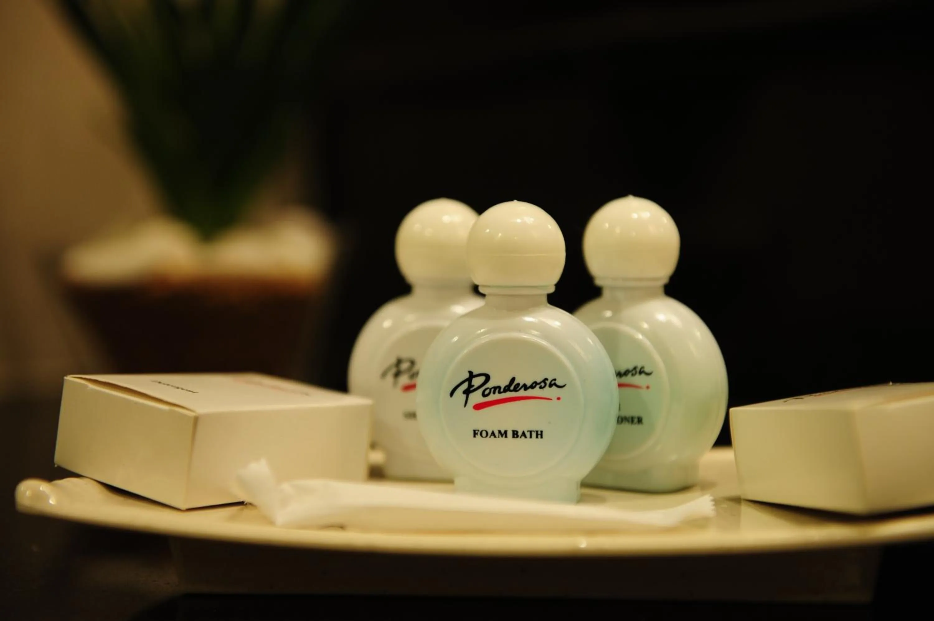 Decorative detail in Ponderosa Golf & Country Resort