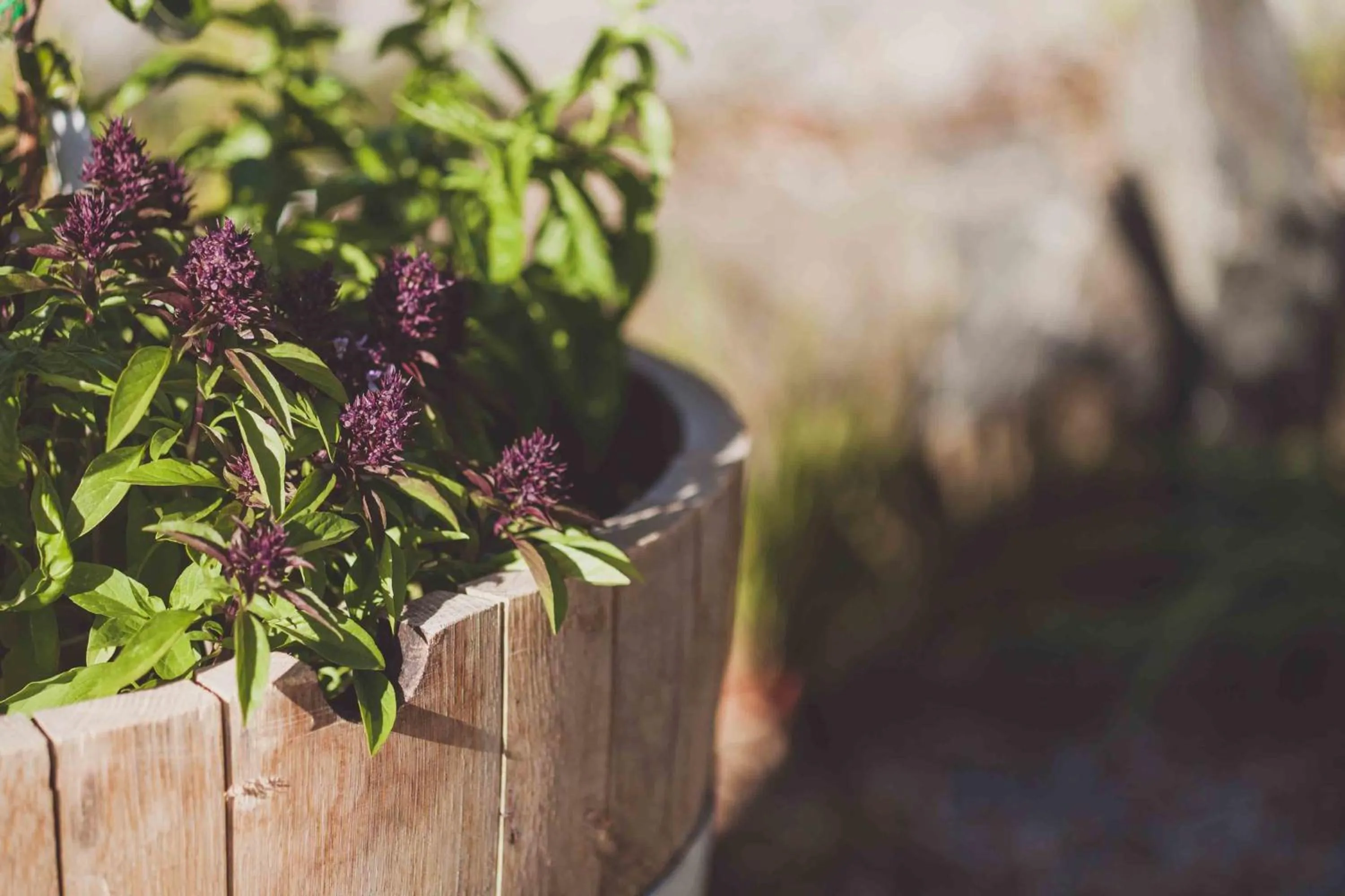 Decorative detail in One of a Kind Apartments