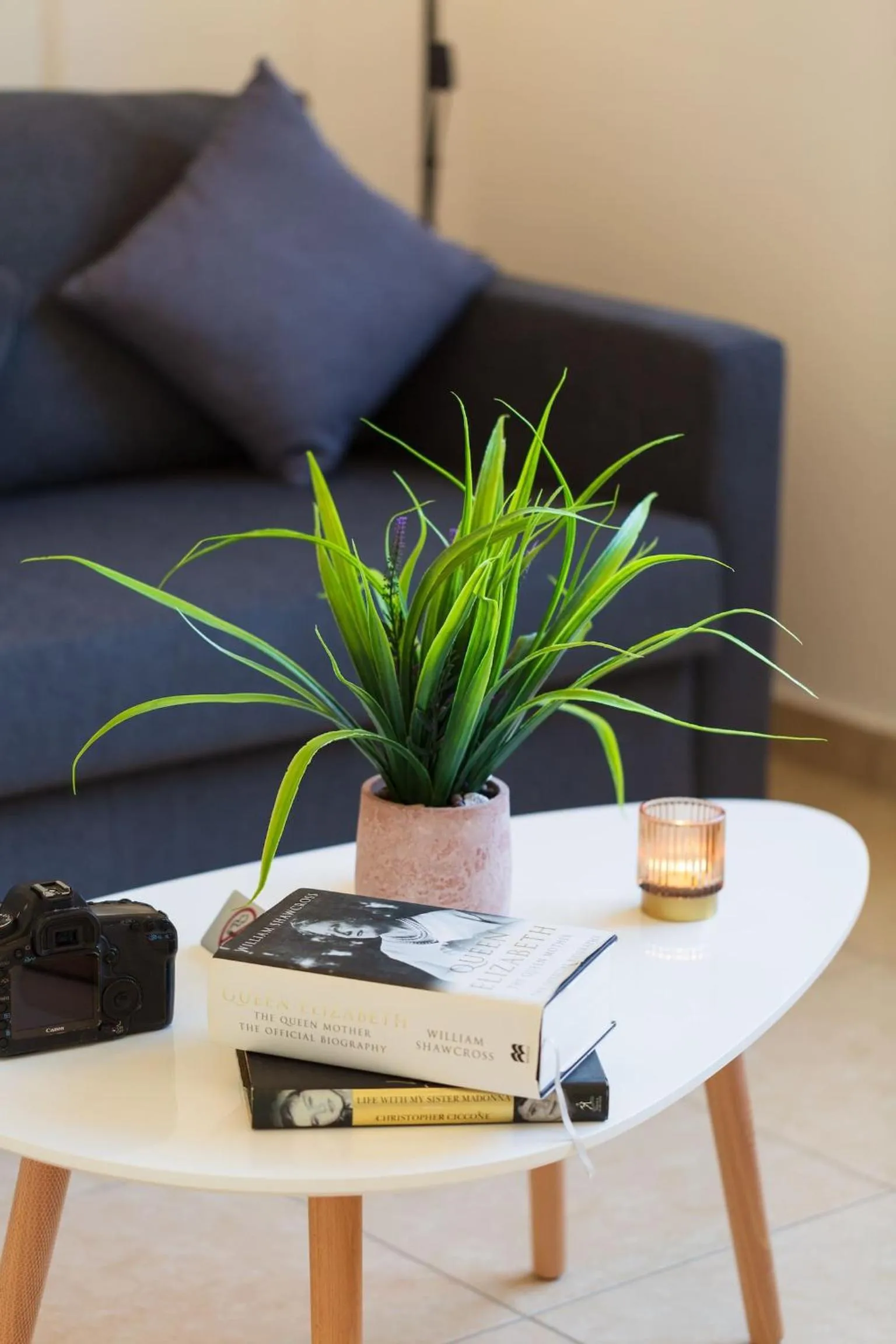 Other in Artemis Cynthia Complex