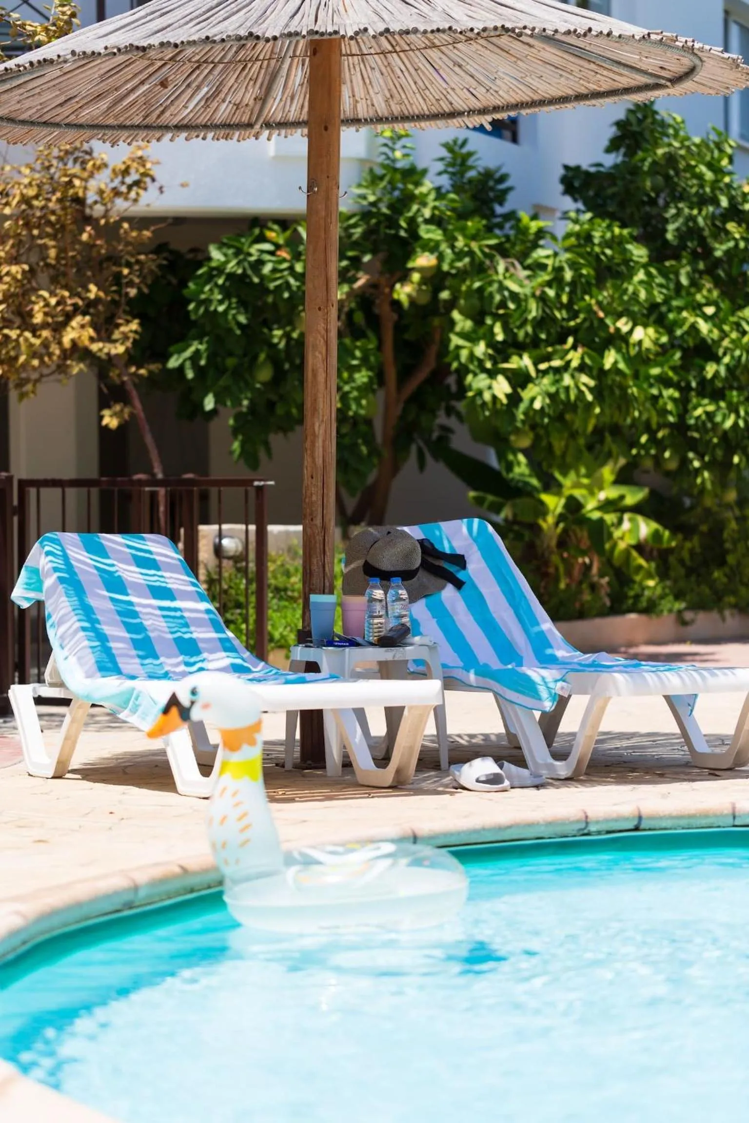 Pool view in Artemis Cynthia Complex