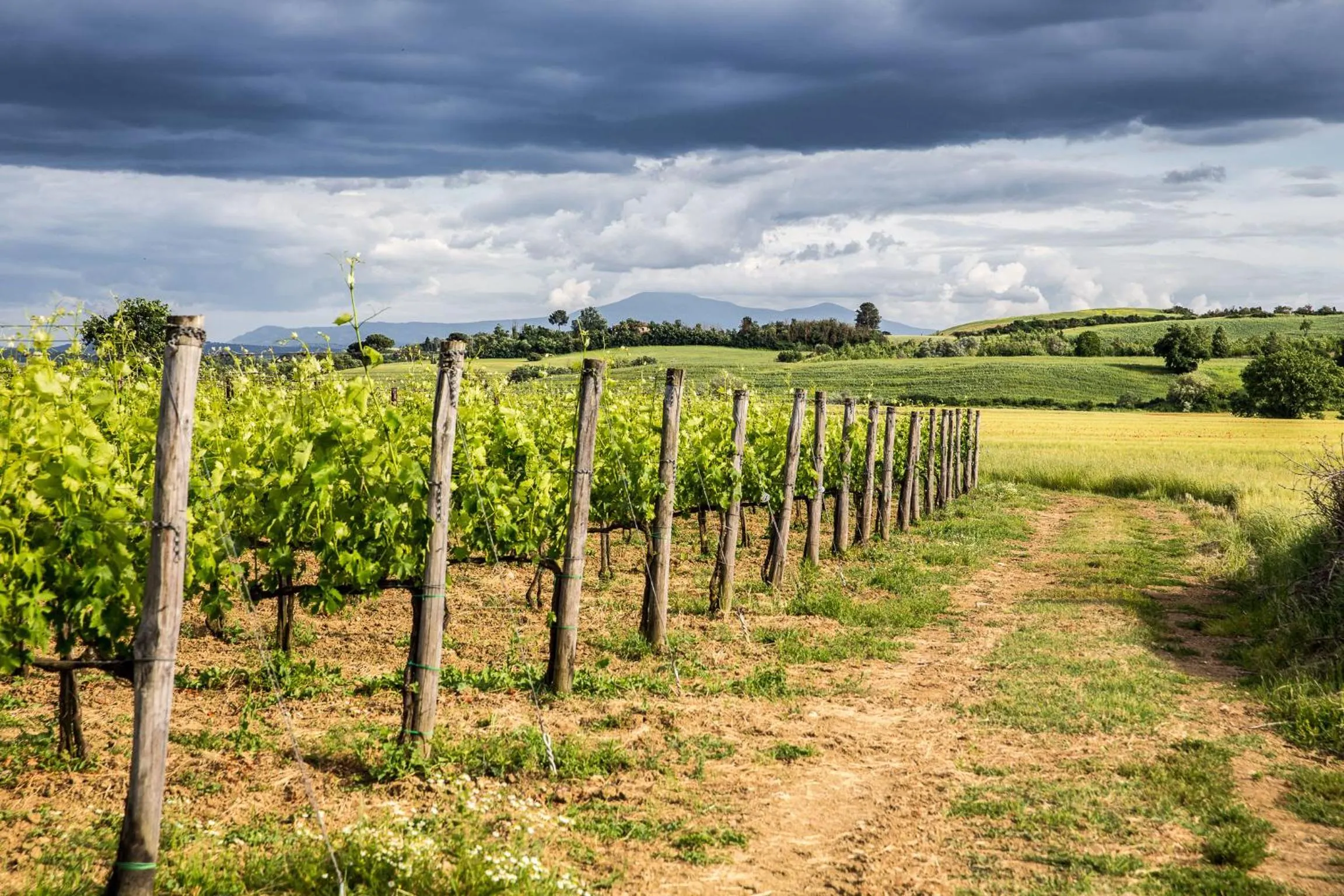 View (from property/room) in Hotel Ristorante Borgo Antico