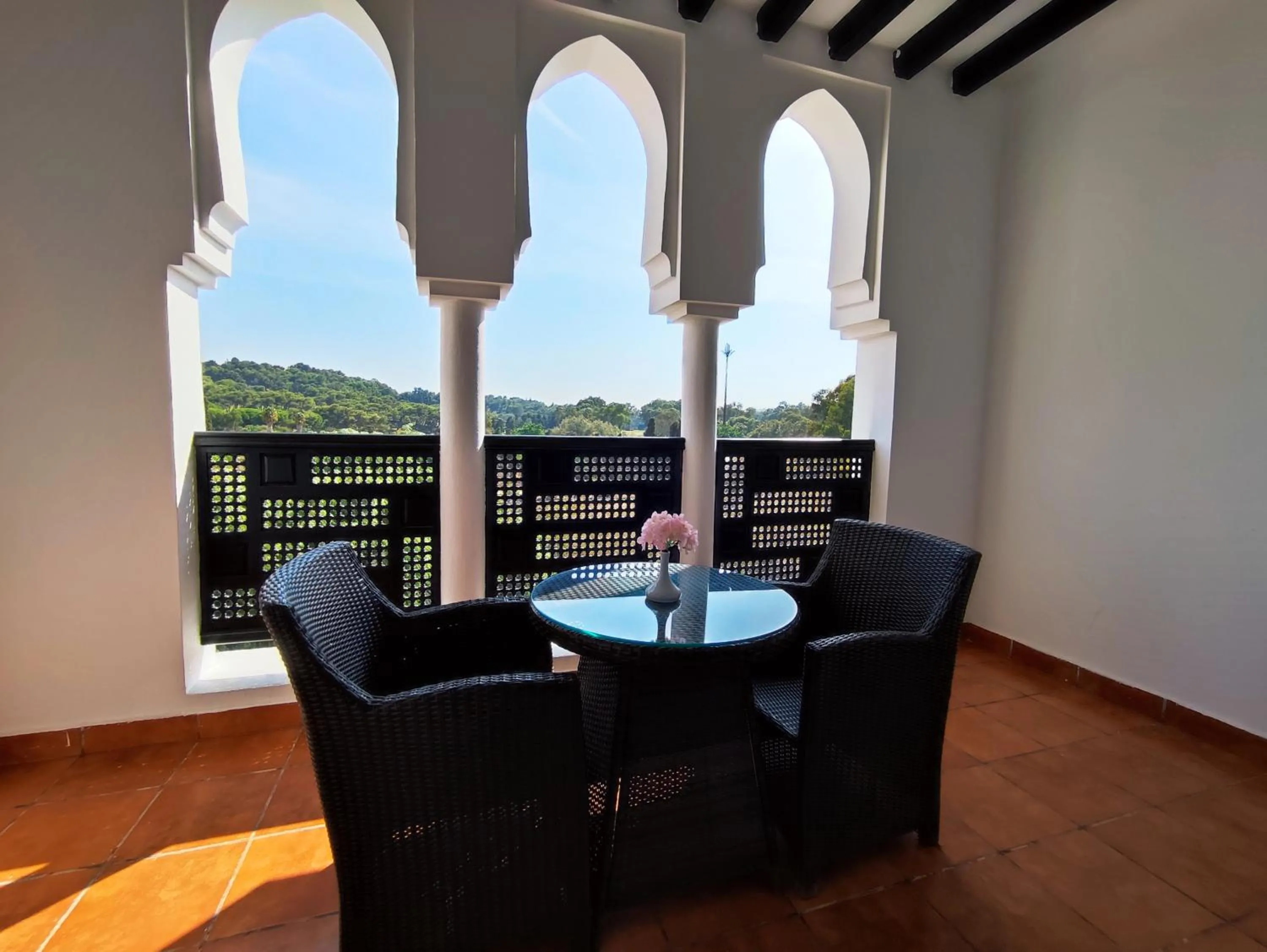 Balcony/Terrace in Hotel Andalucia Tangier