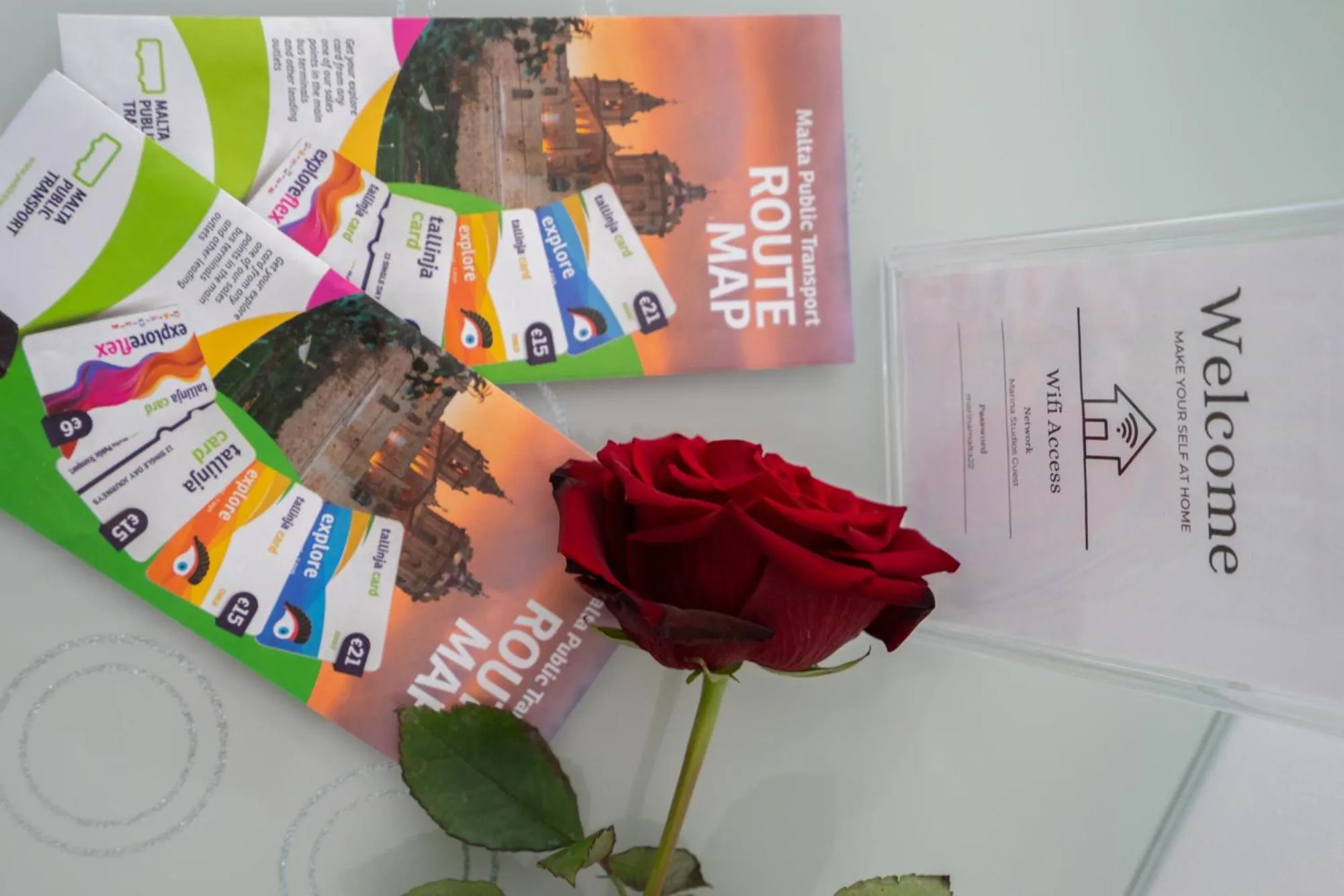 Logo/Certificate/Sign in Marina Studios