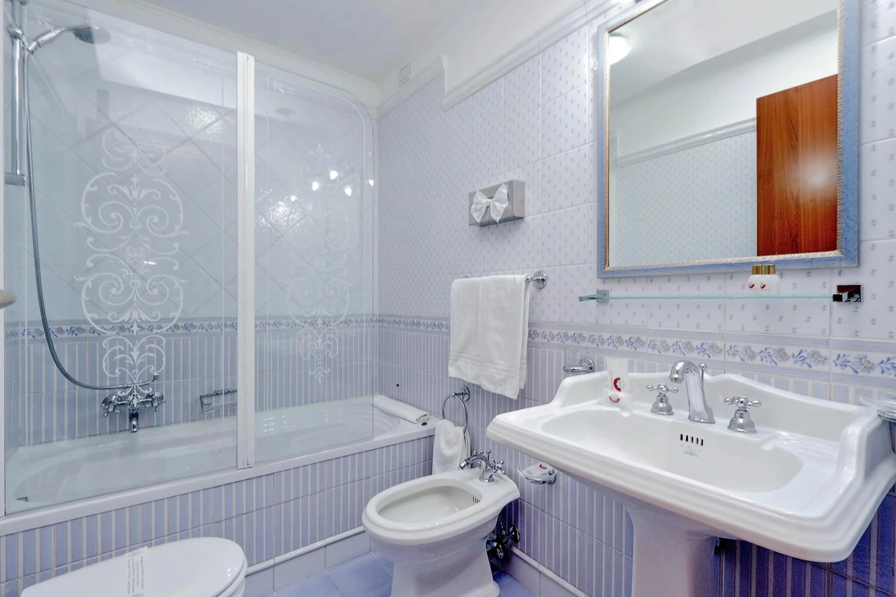 Shower in Hotel Camelia