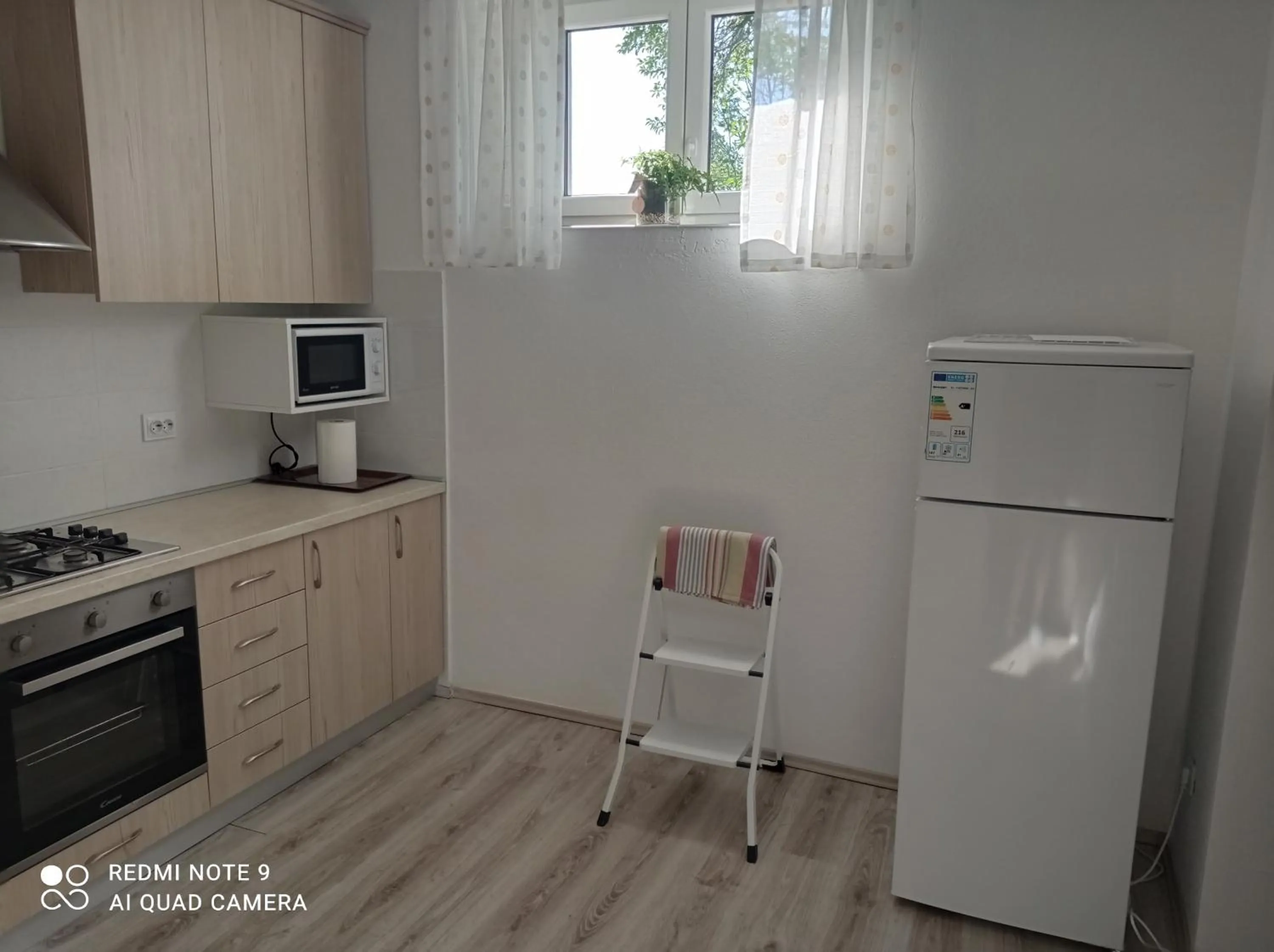 kitchen in Studio apartman Sonja