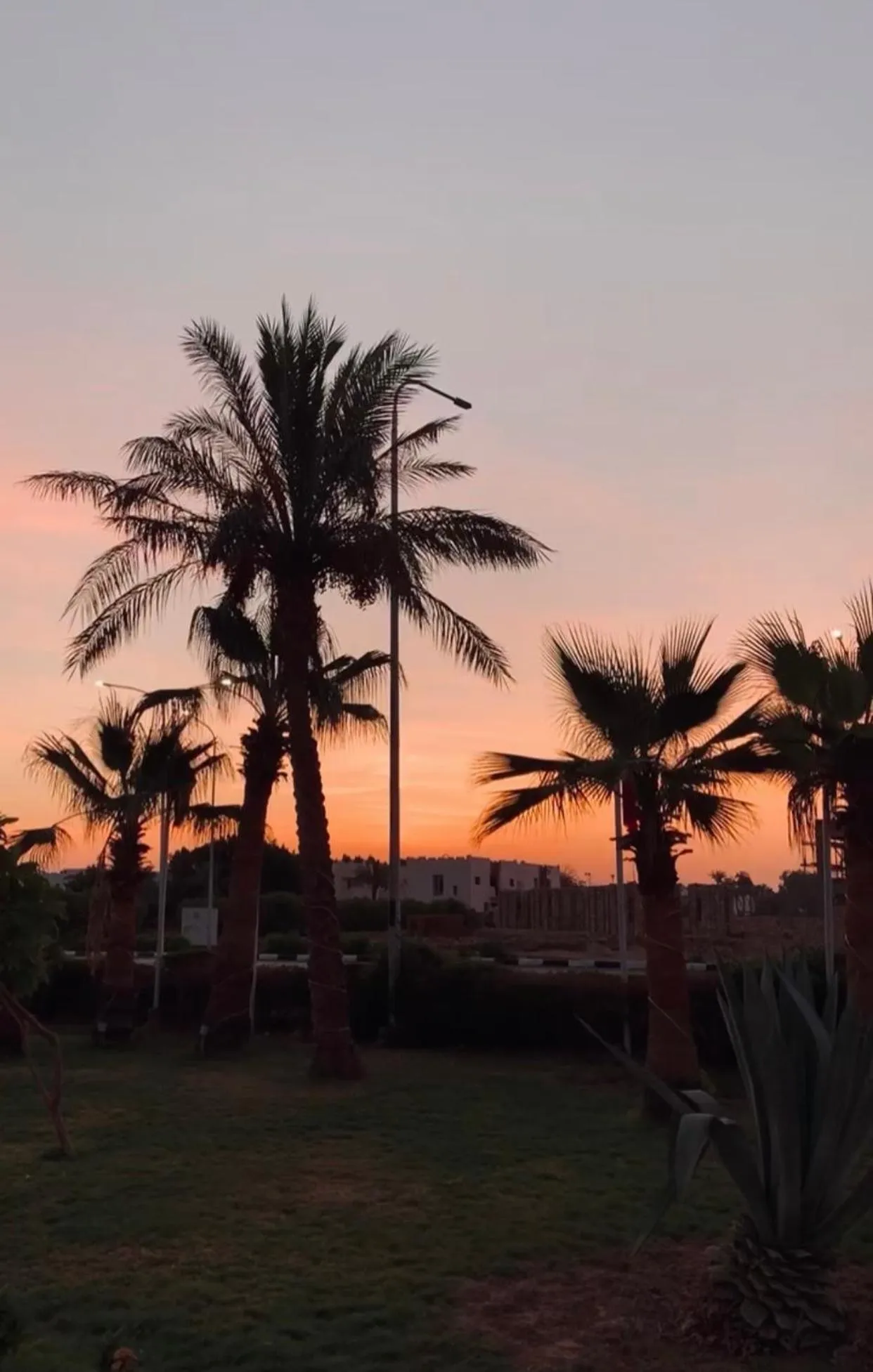 Sunset Hotel sharm El Sheikh