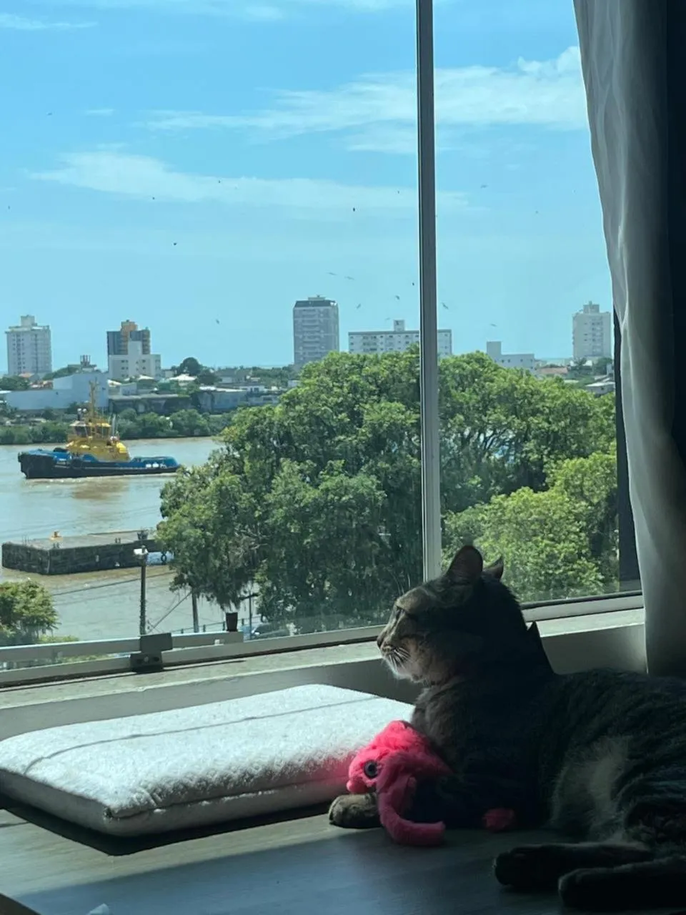 Day in Hotel Valerim Itajaí / Navegantes