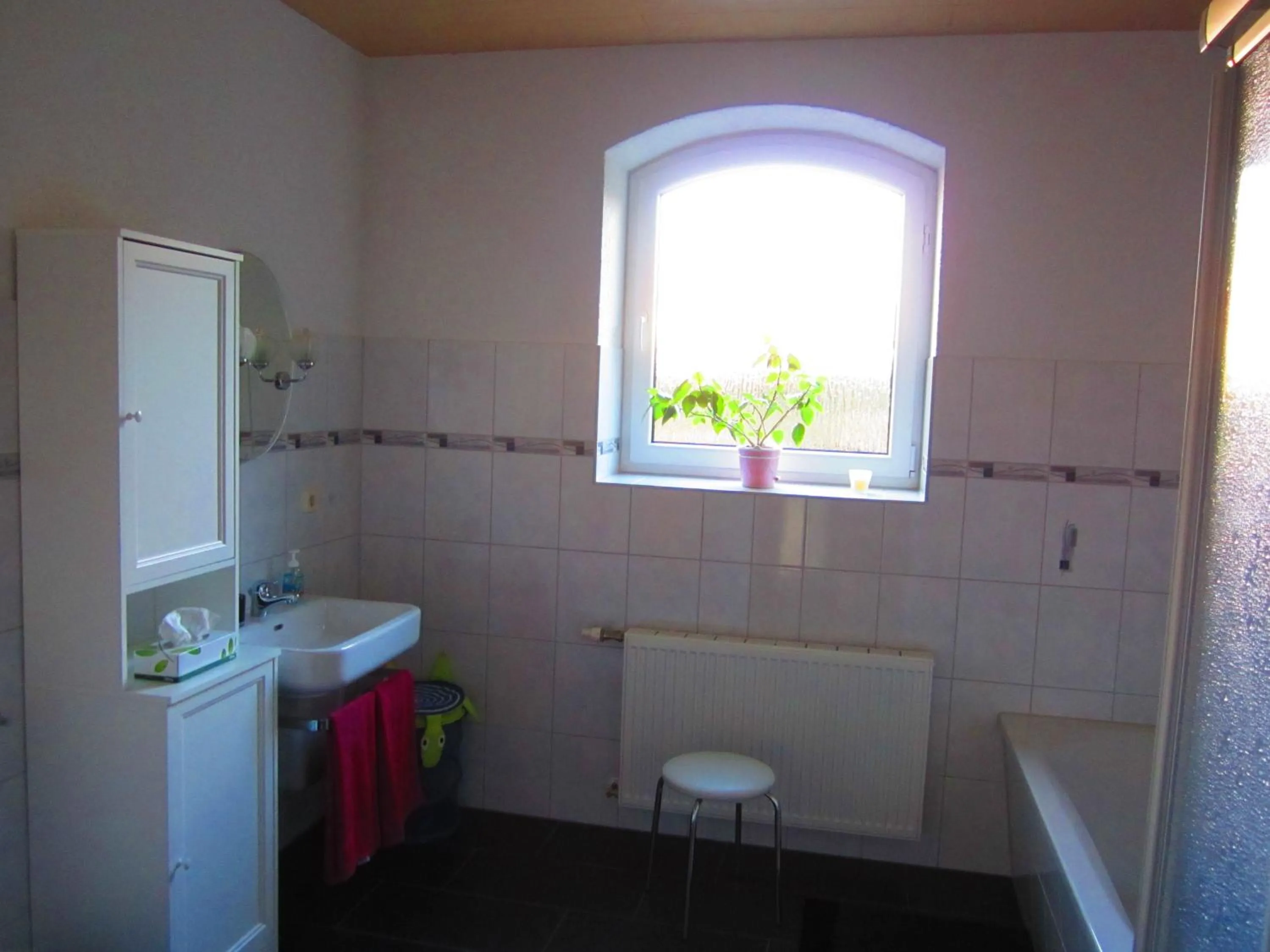 Bathroom in Hansis Lodge