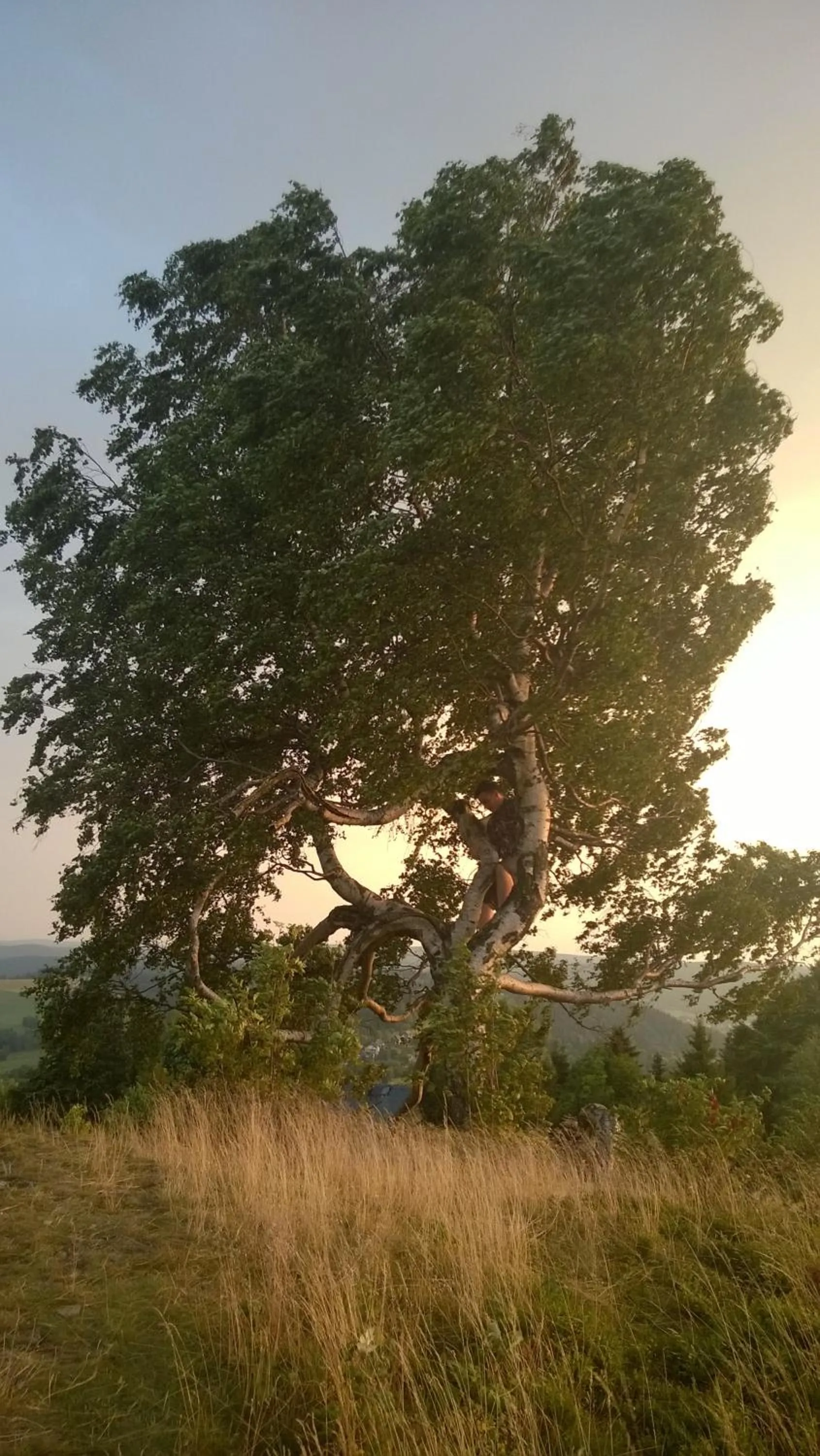 Natural landscape in Hansis Lodge