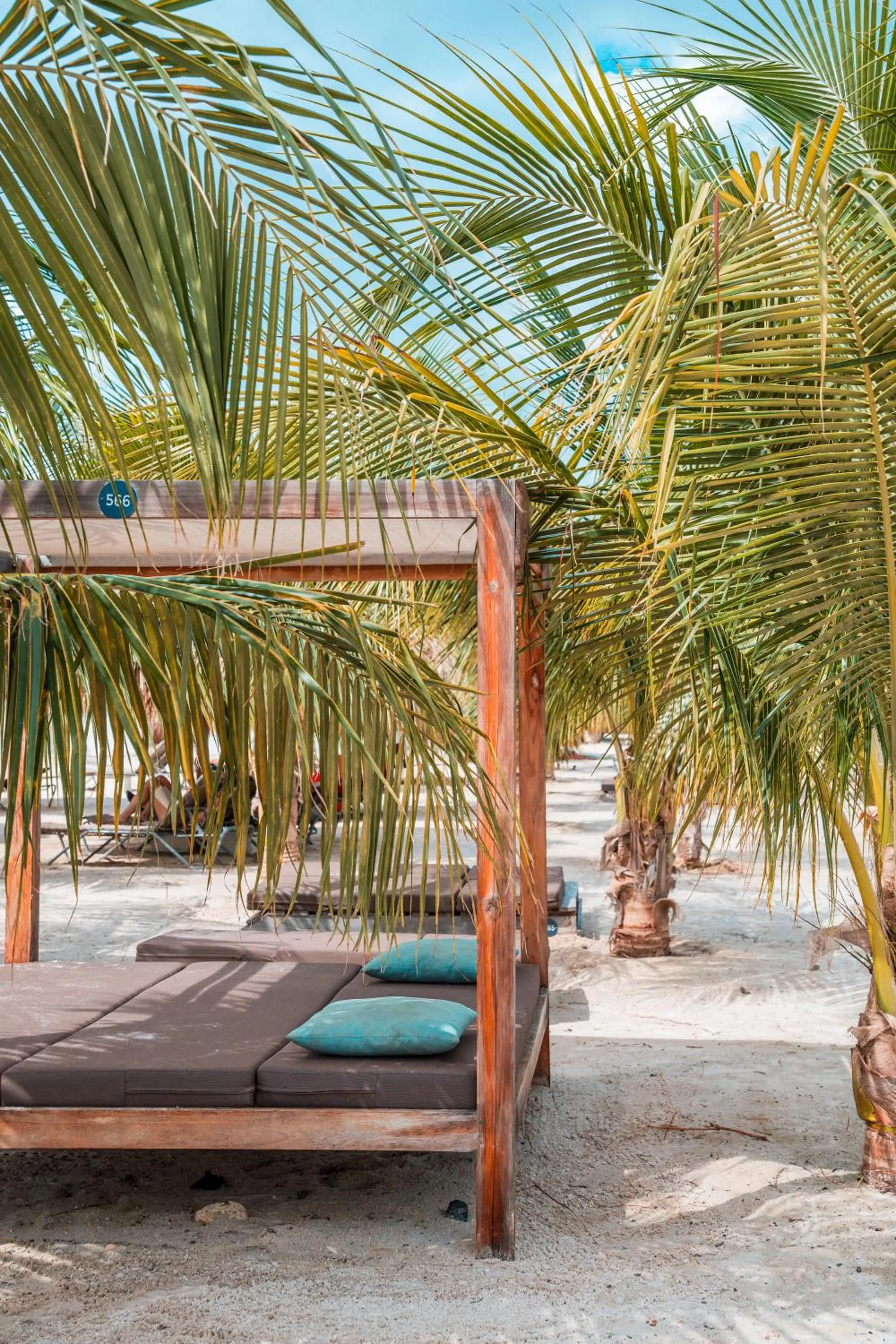 Natural landscape in Chogogo Dive & Beach Resort Bonaire