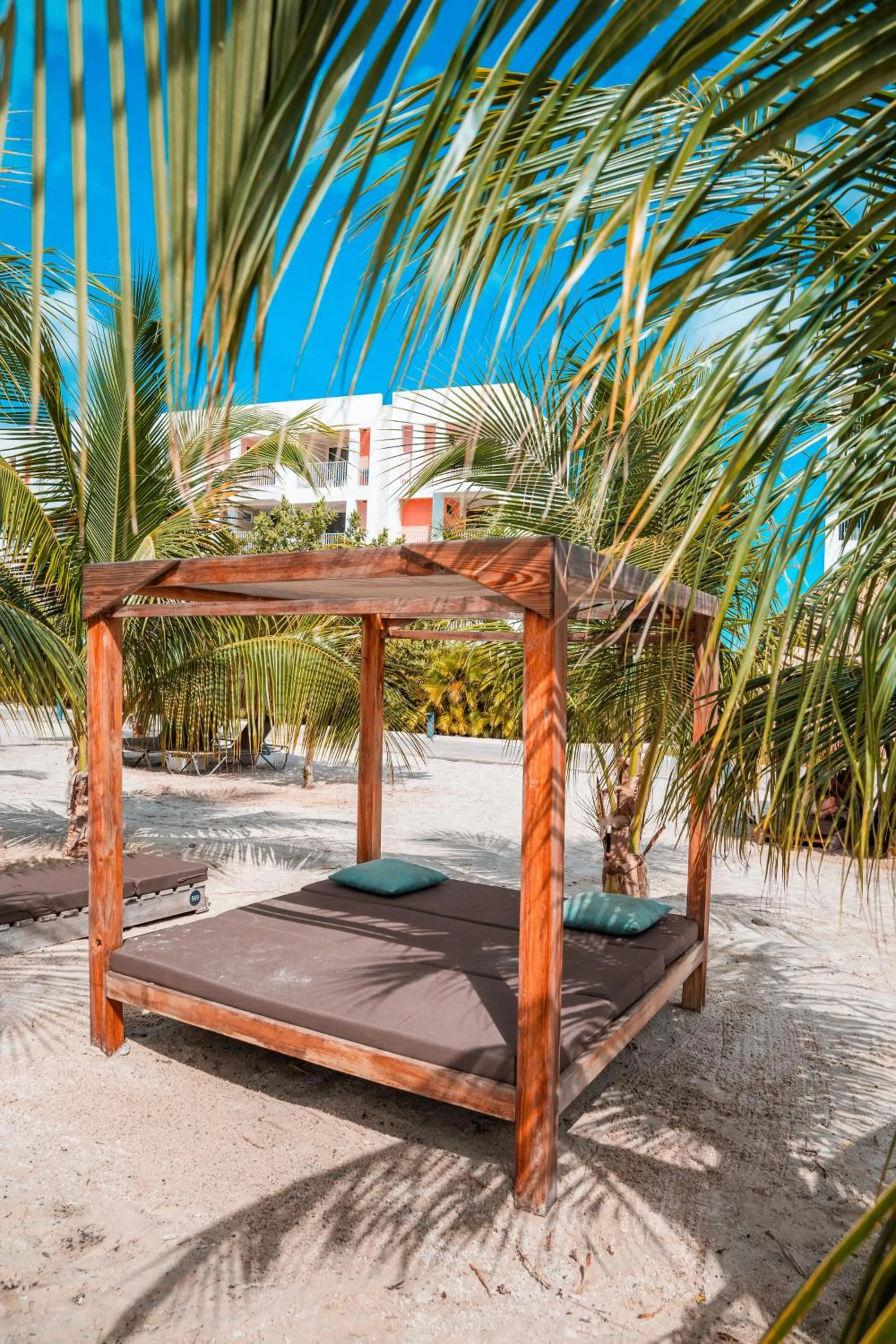 Day in Chogogo Dive & Beach Resort Bonaire