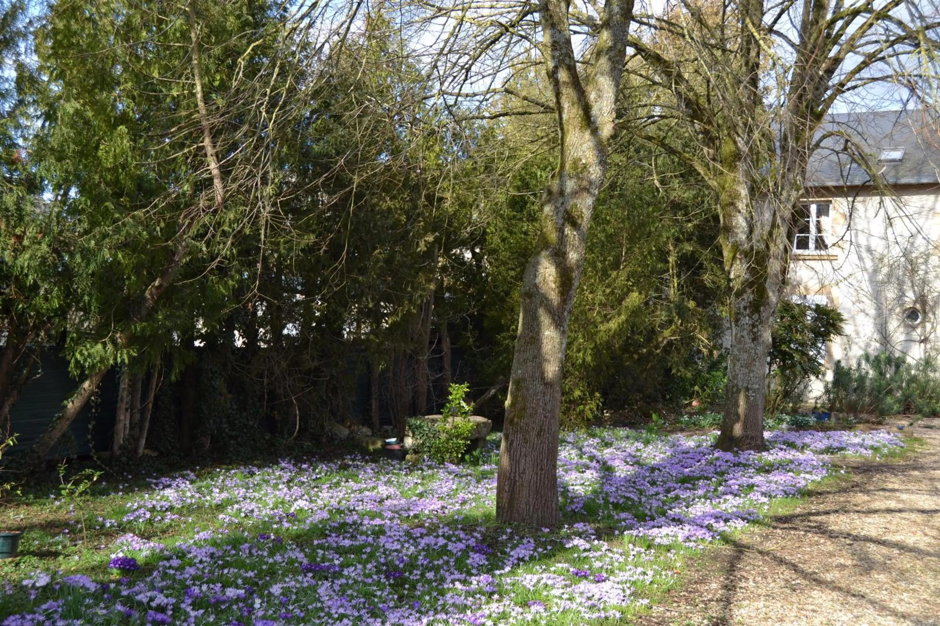 Garden in Domaine de Benveau
