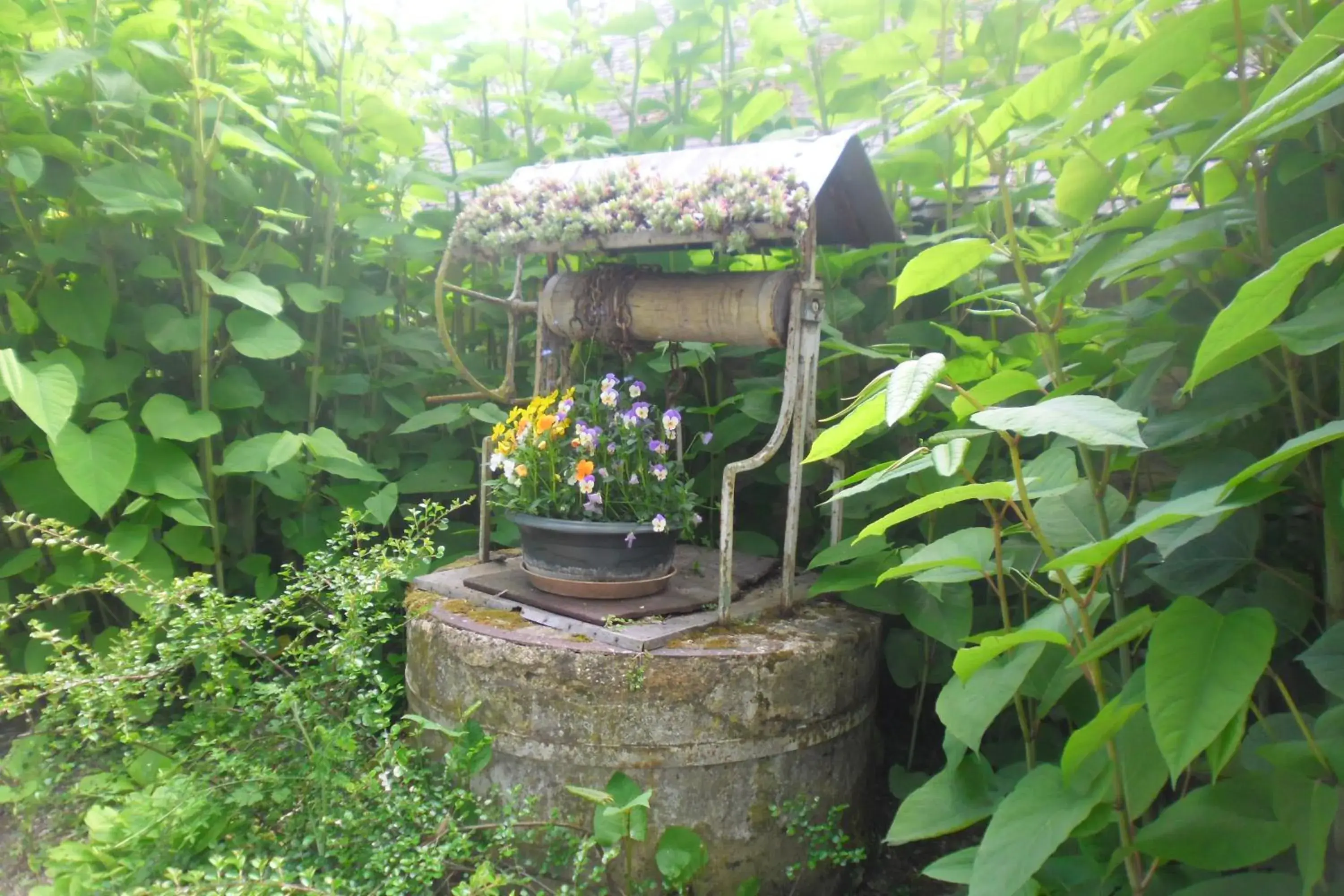 Domaine de Benveau Domaine de Benveau