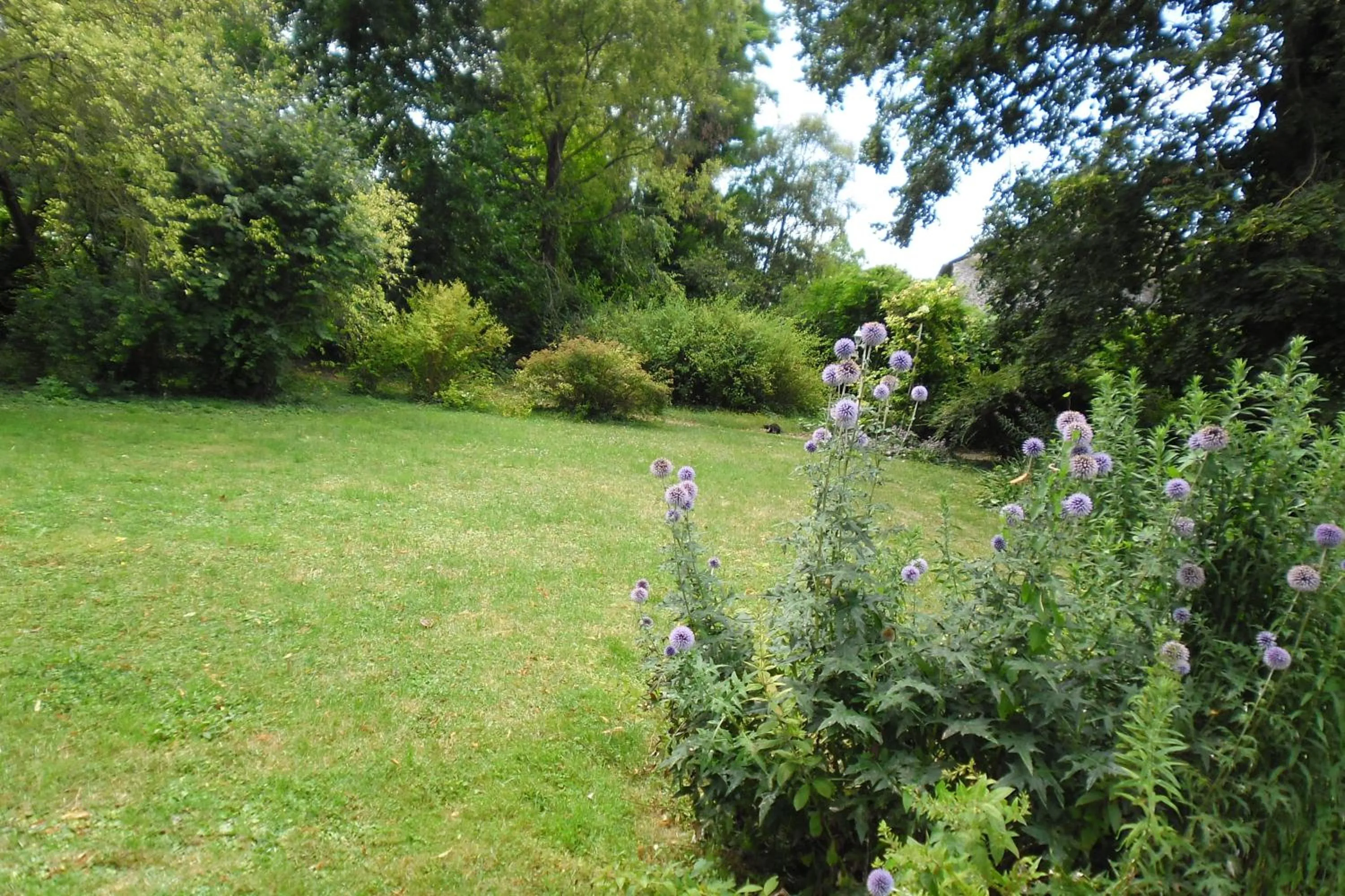 Garden in Domaine de Benveau