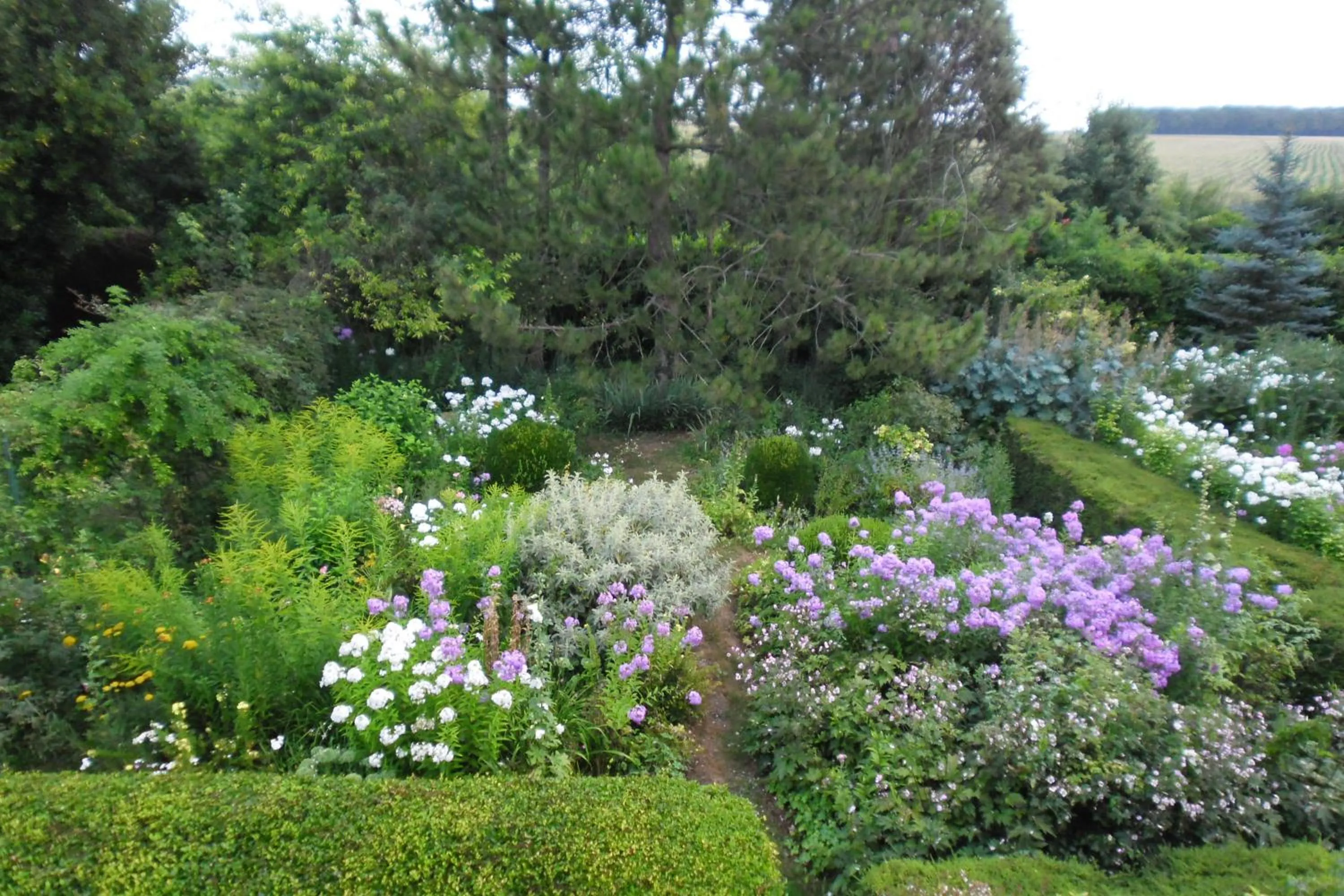 Garden in Domaine de Benveau