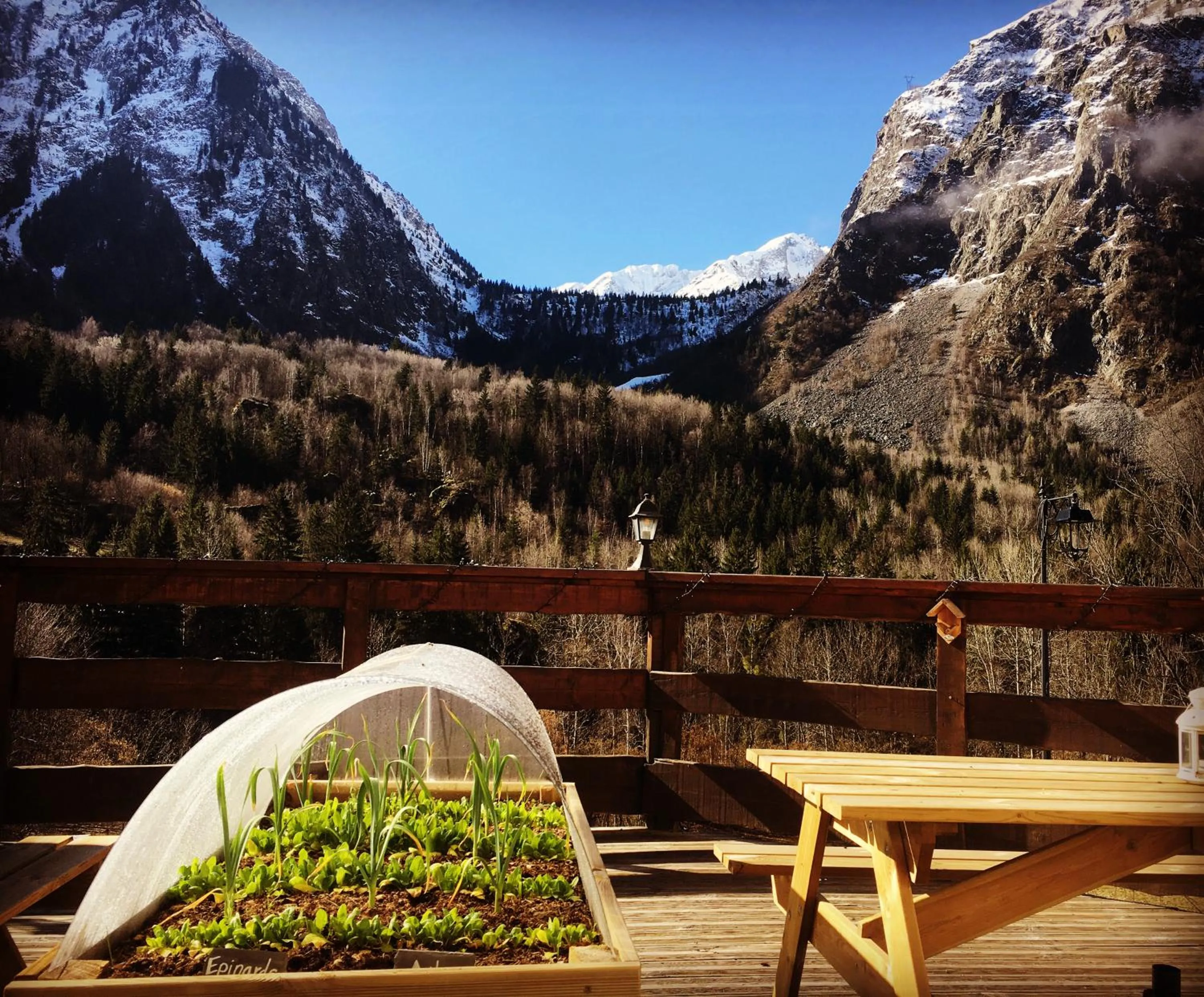 Patio in Hotel Au Bon Accueil