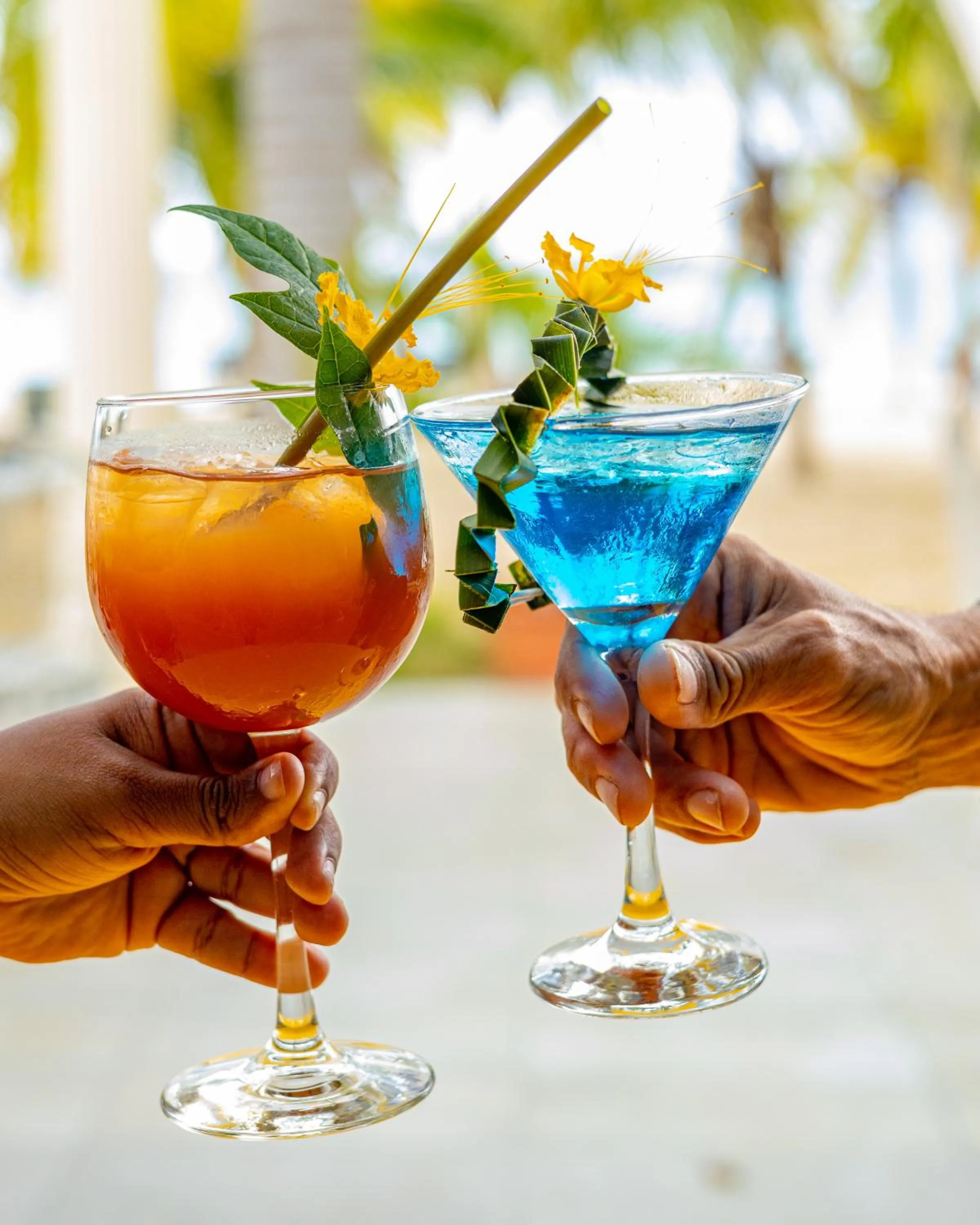 Lounge or bar in Charela Inn